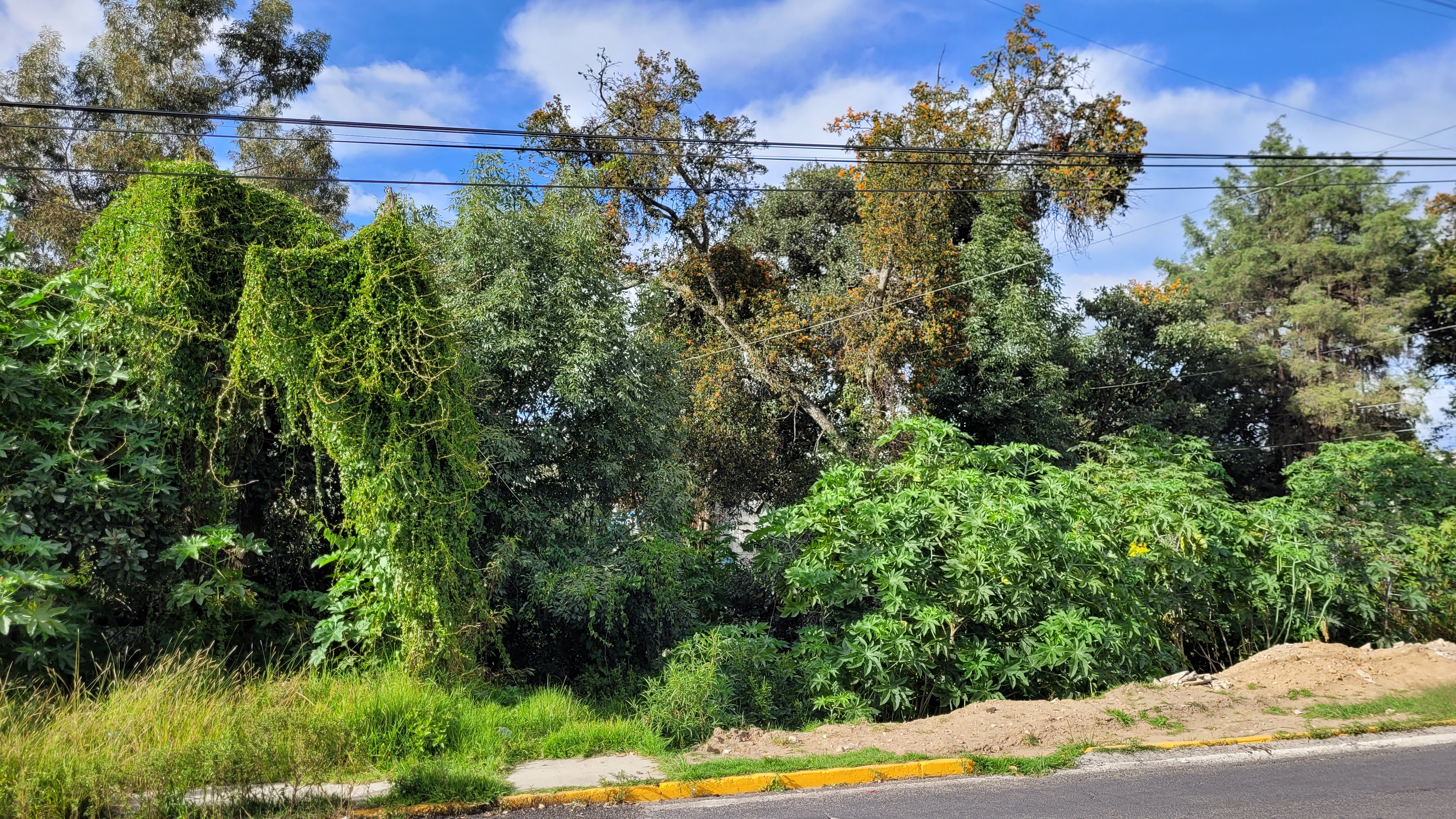 Marísquería Delicias del Mar image 10