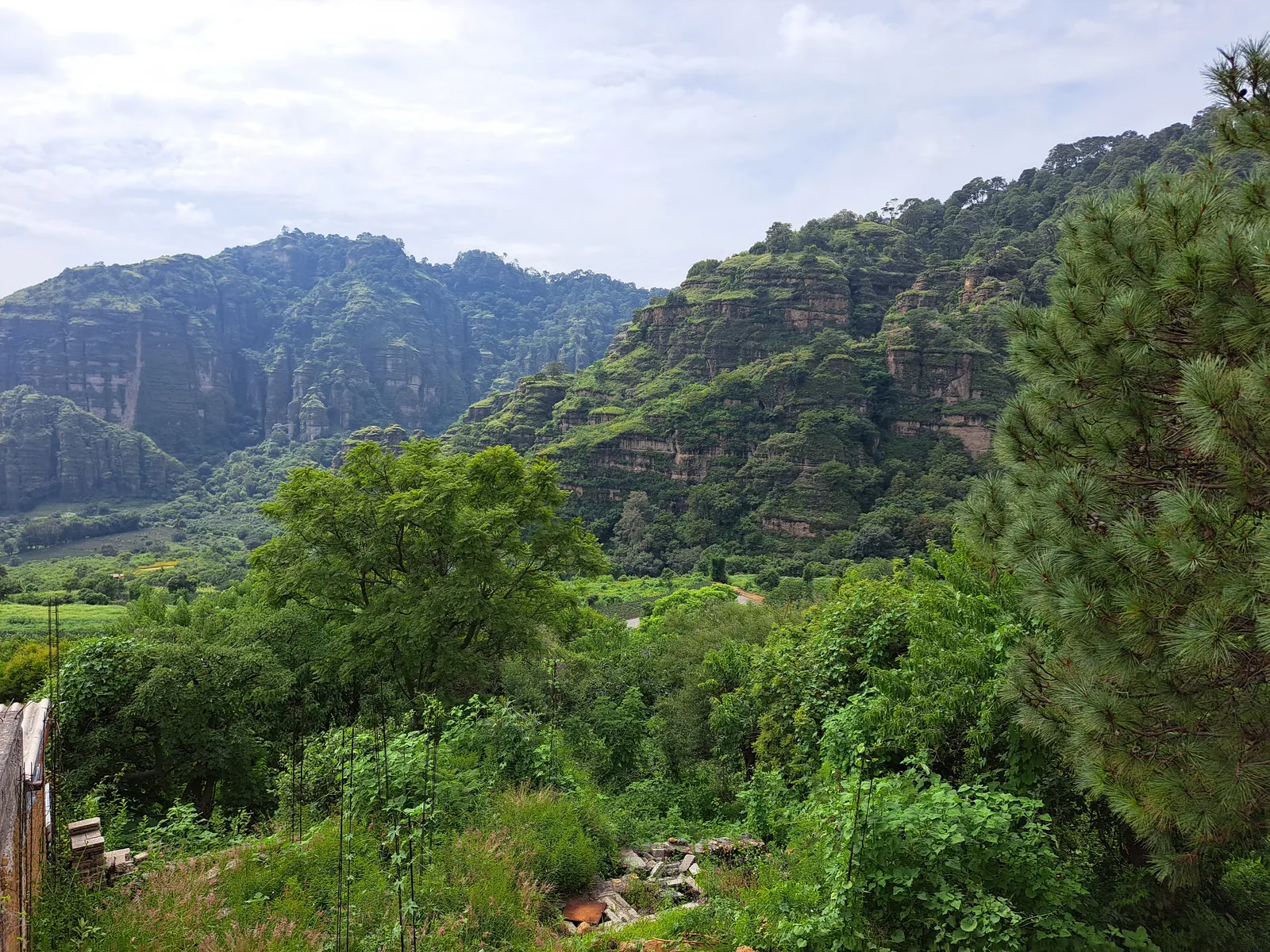 Centro Ecoturisco Los Laureles image 2