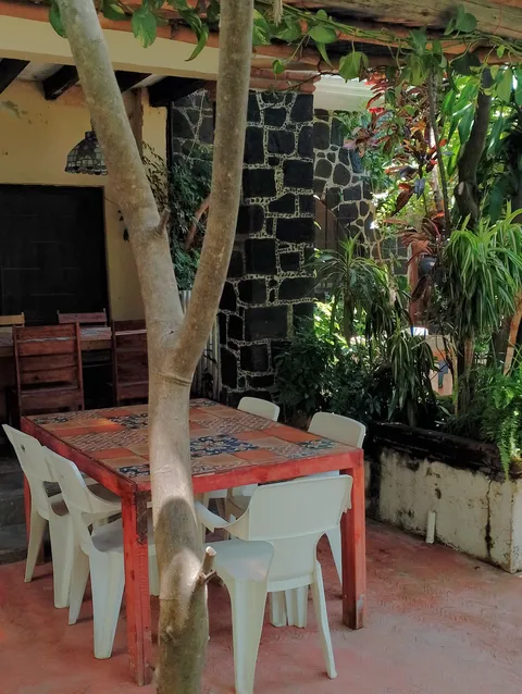 Restaurante casa analibet image 8