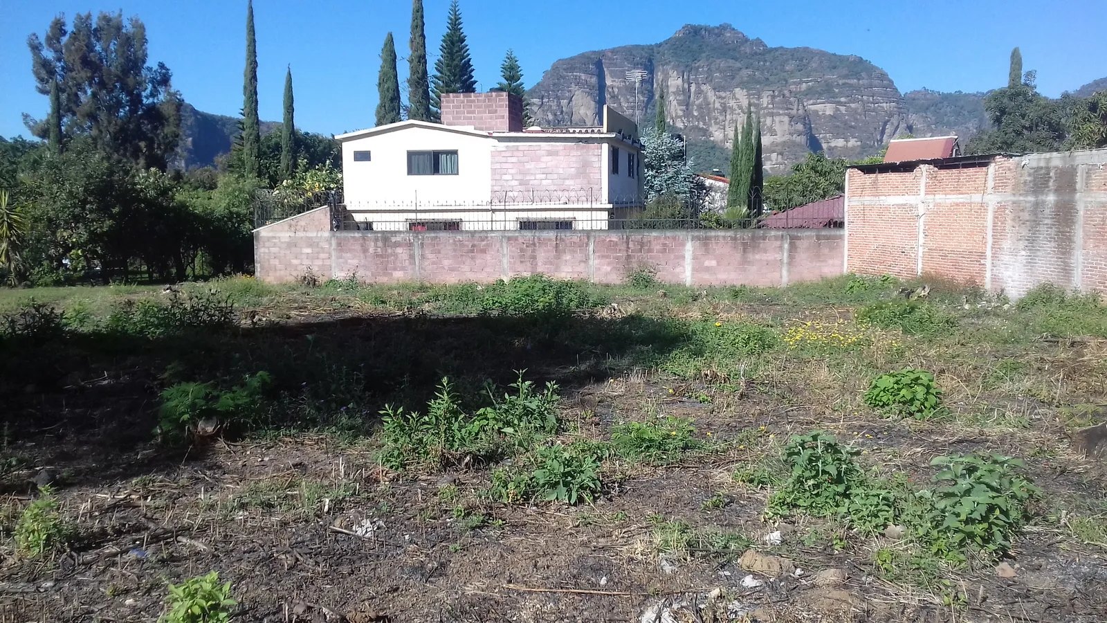 Las Adelitas image 7