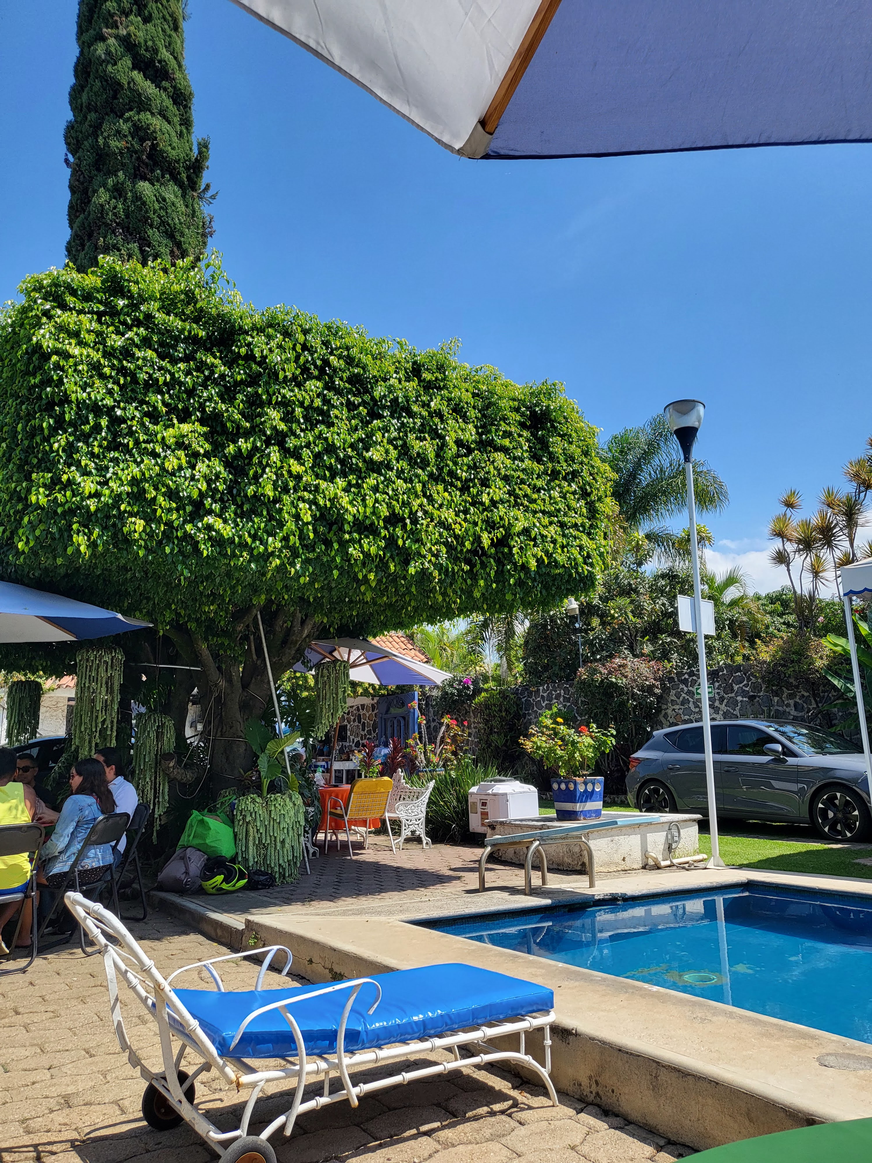 Las Adelitas image 9