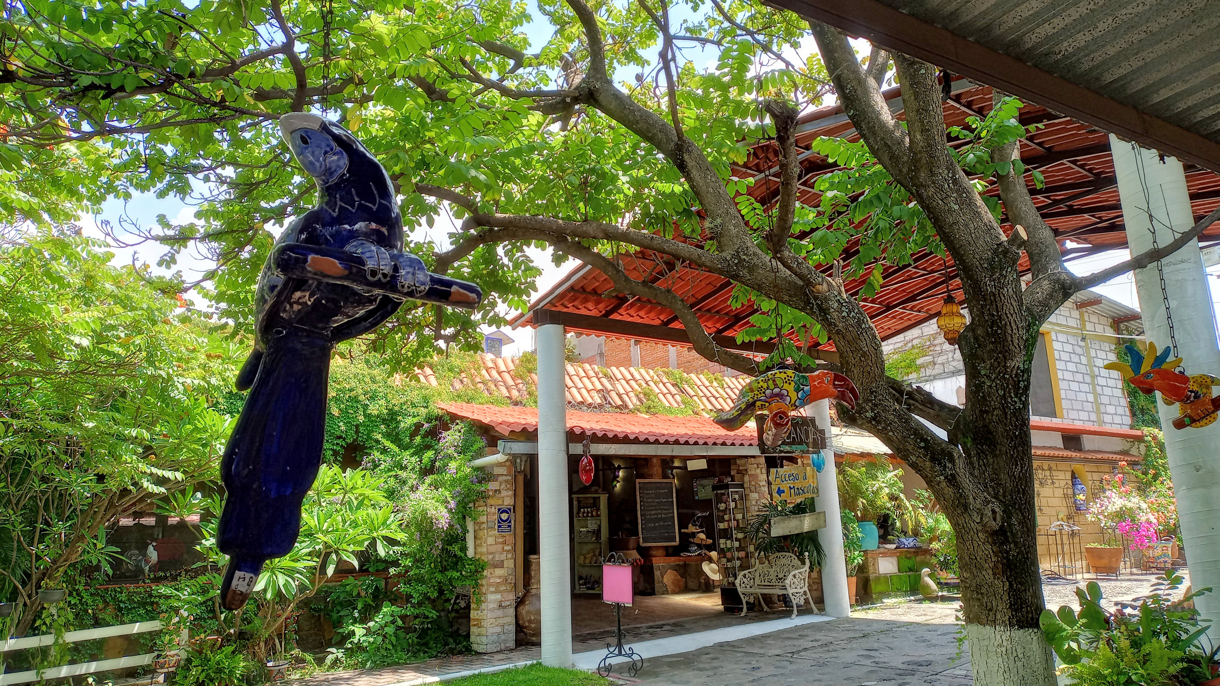 Restaurante La Mayordomía image 8