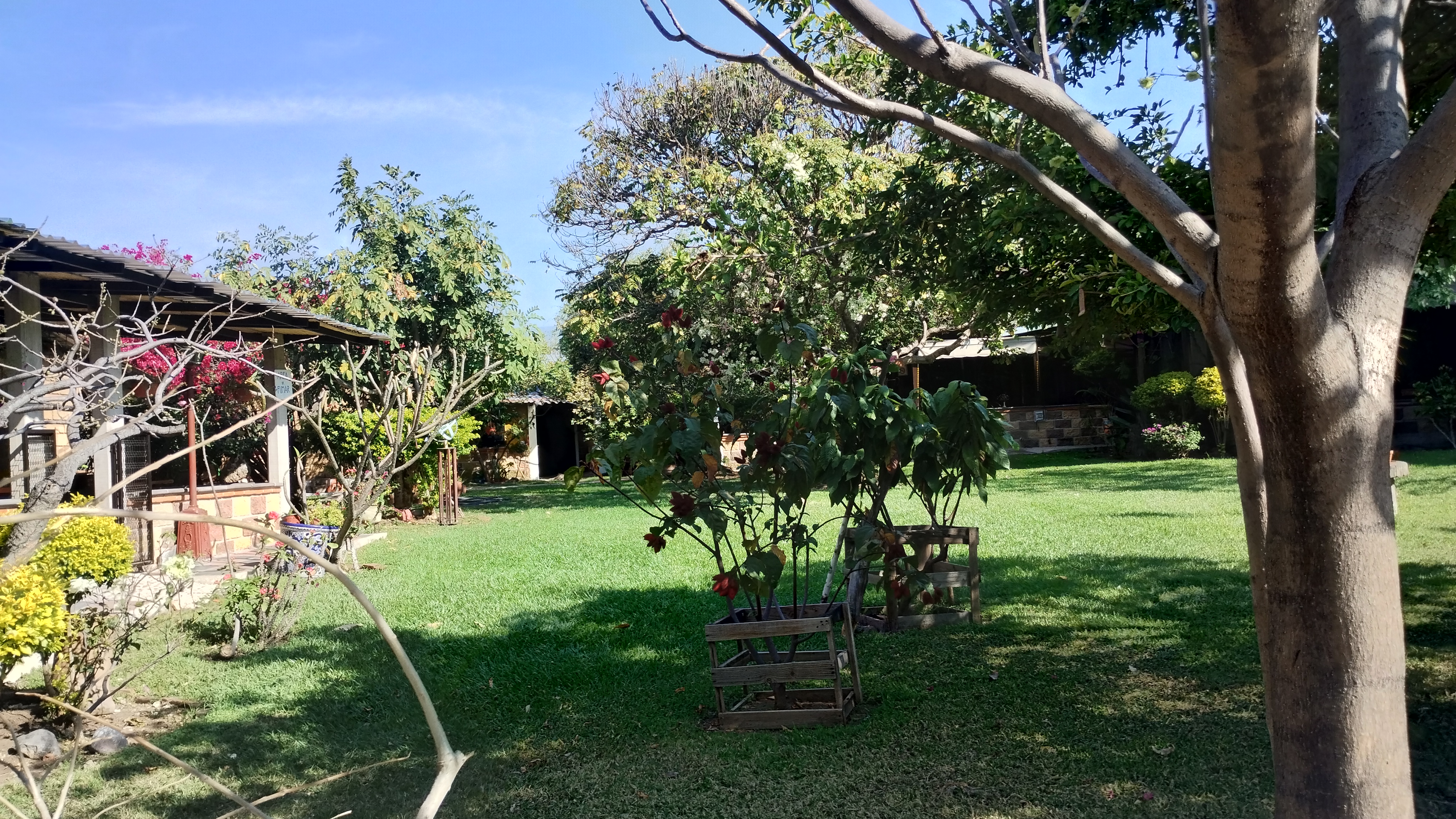 Restaurante La Mayordomía image 9