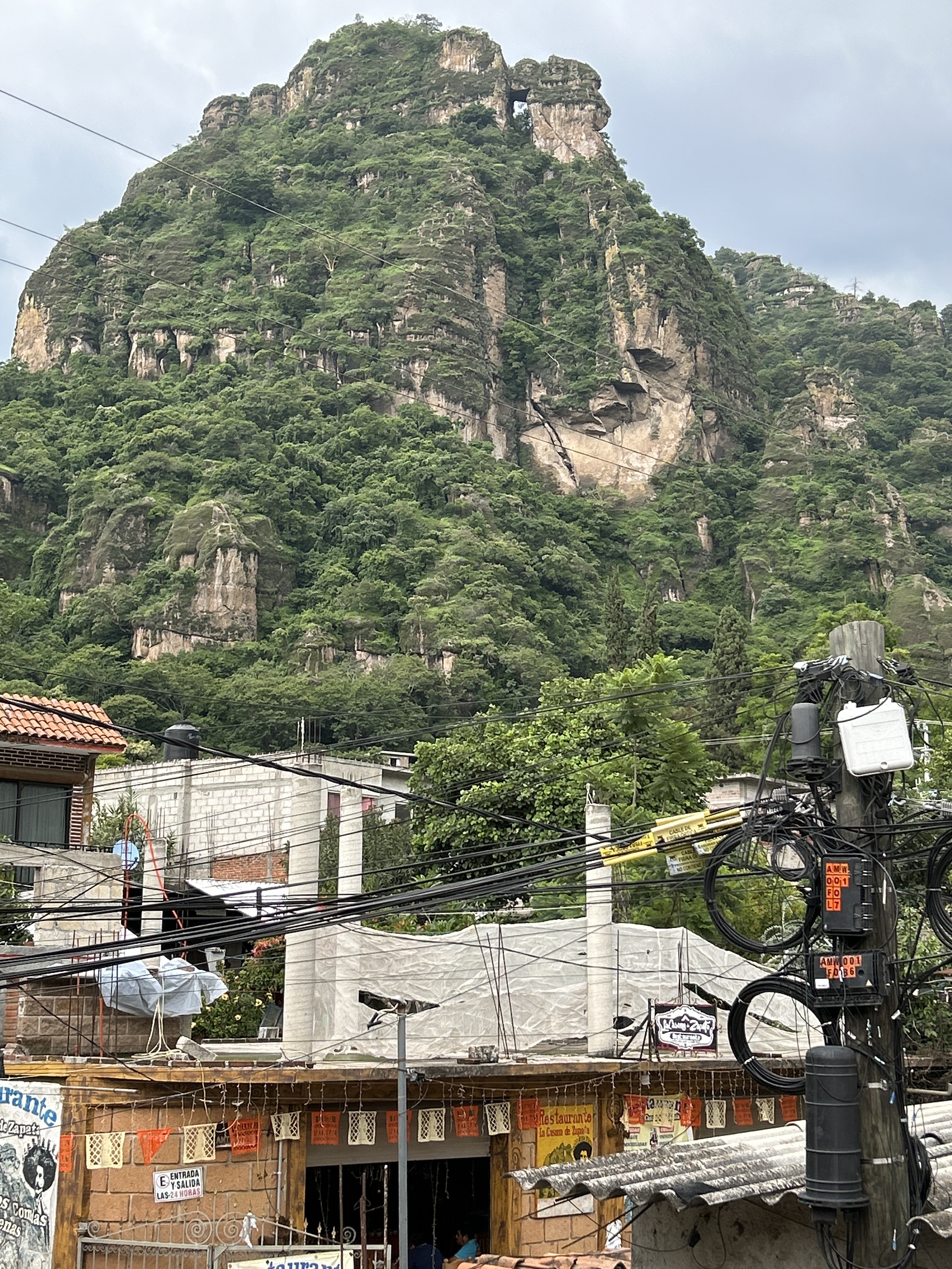 terraza tribu image 6