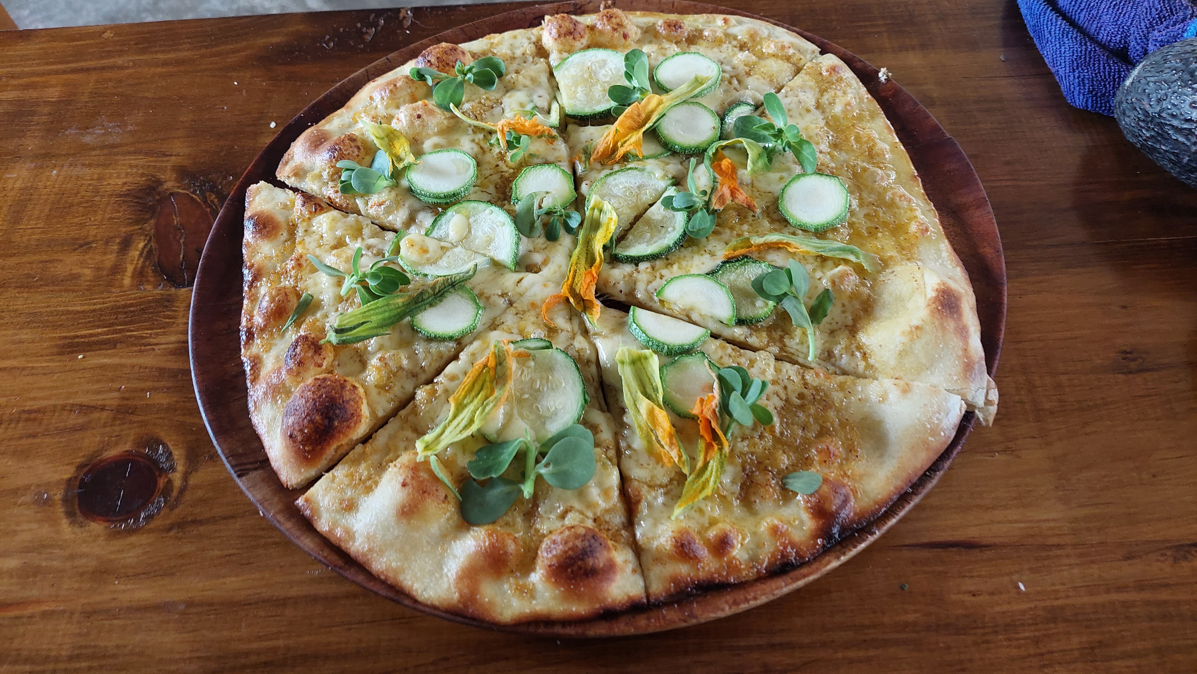 terraza tribu image 7