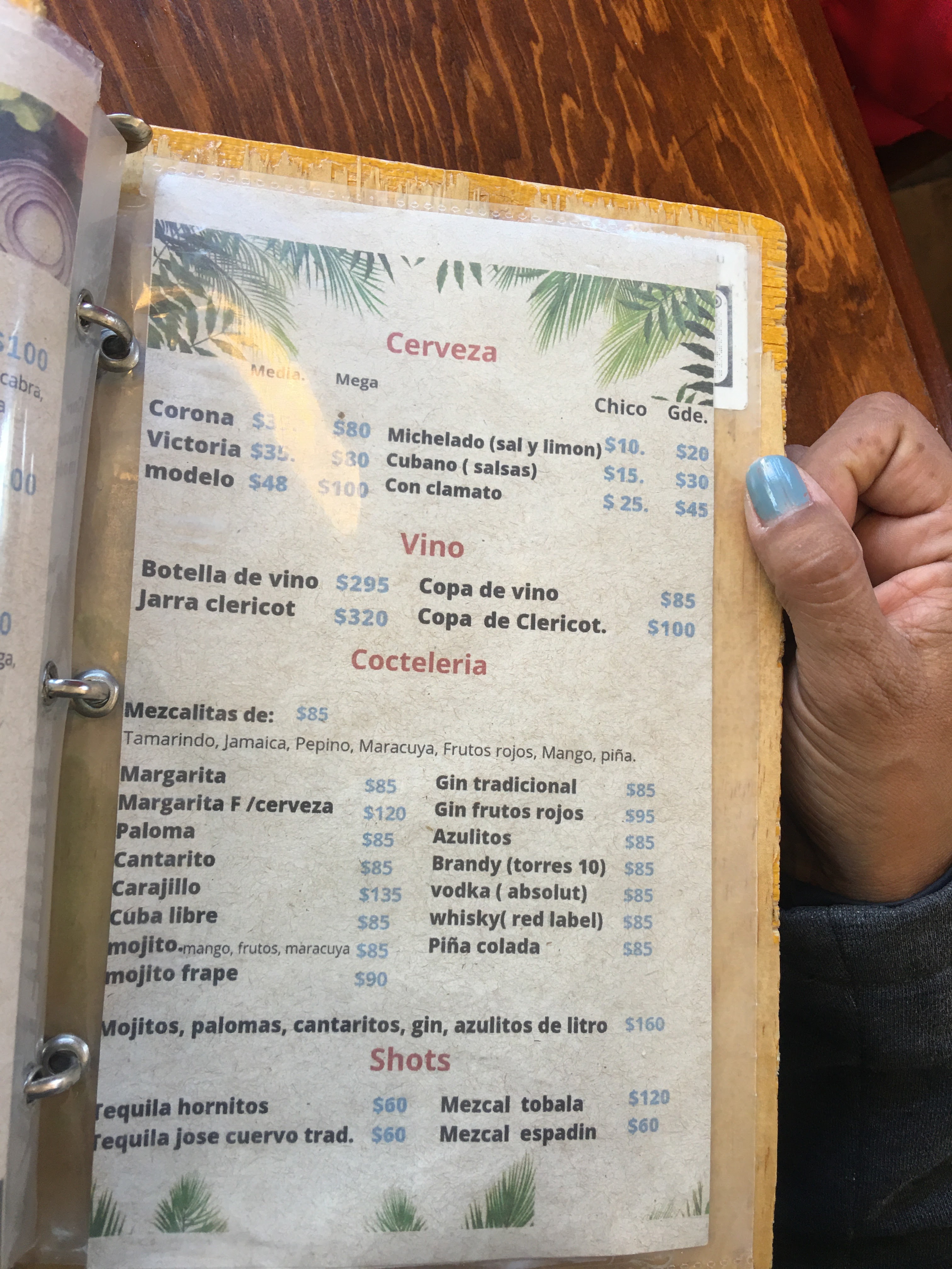 terraza tribu image 10