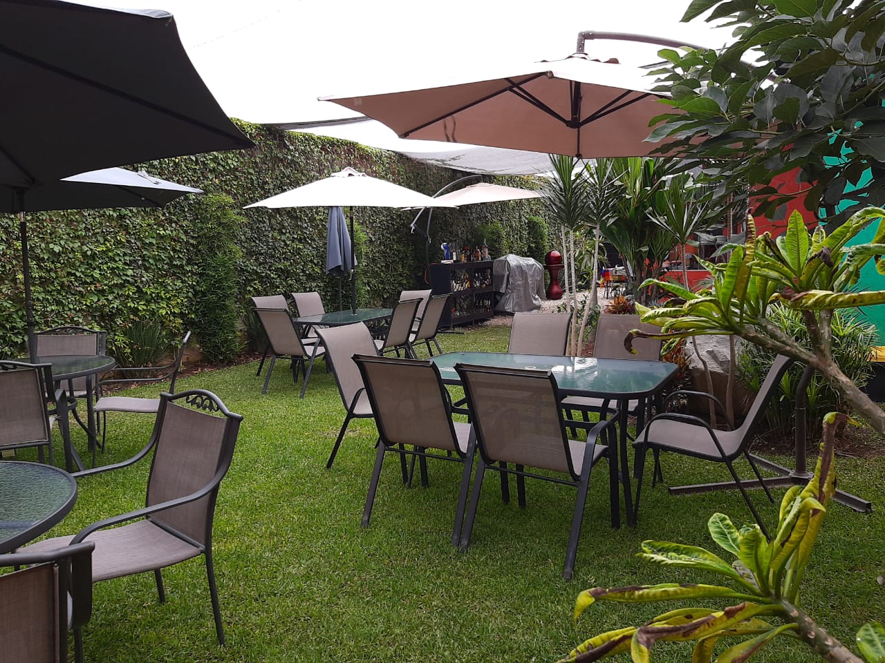 Las Mariposas image 10