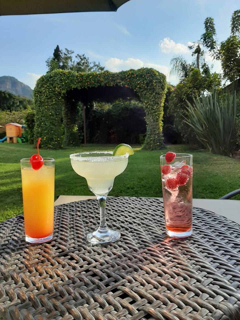 Restaurante Bar Real de Sofia image 2