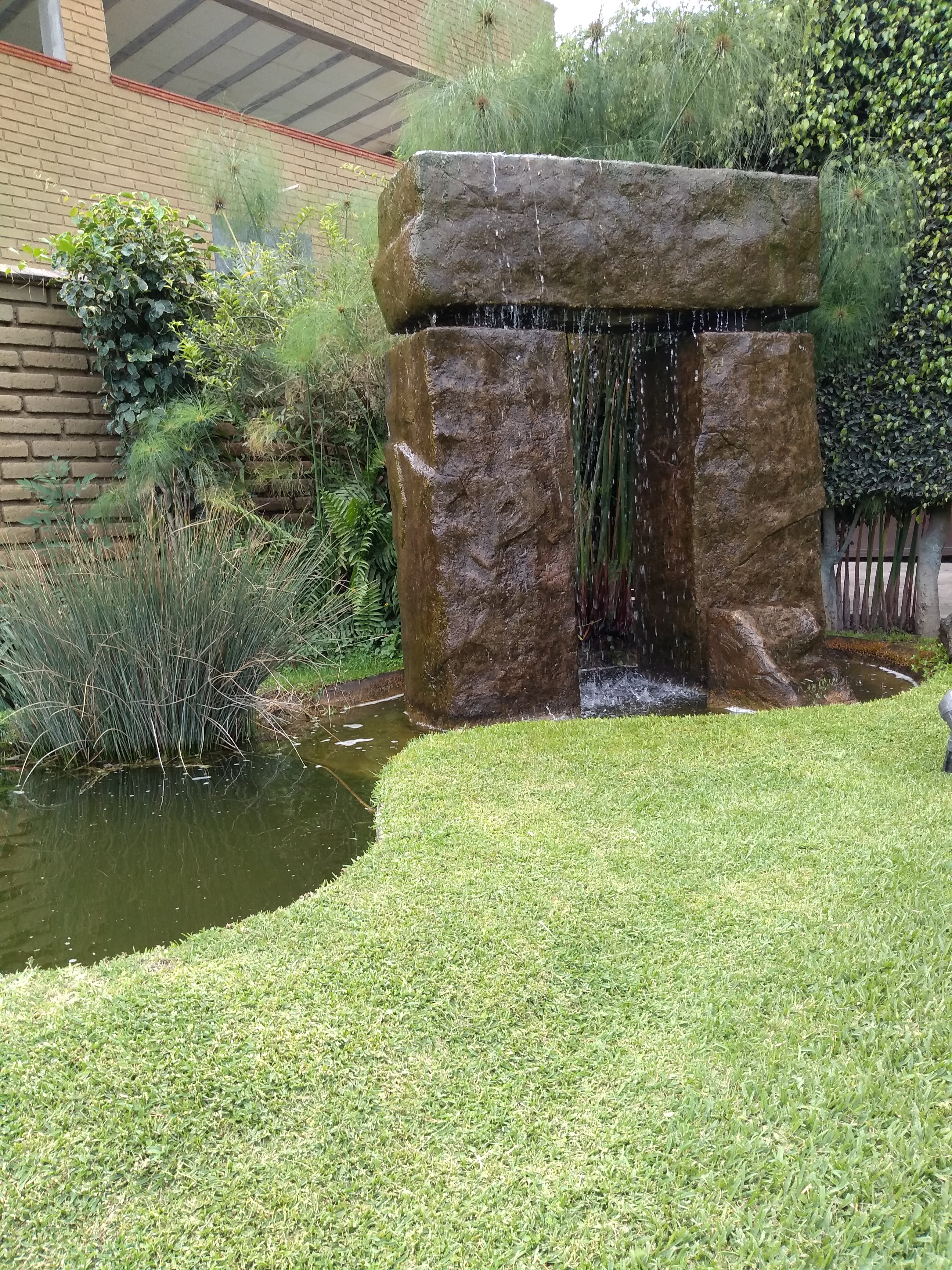 Restaurante Bar Real de Sofia image 10