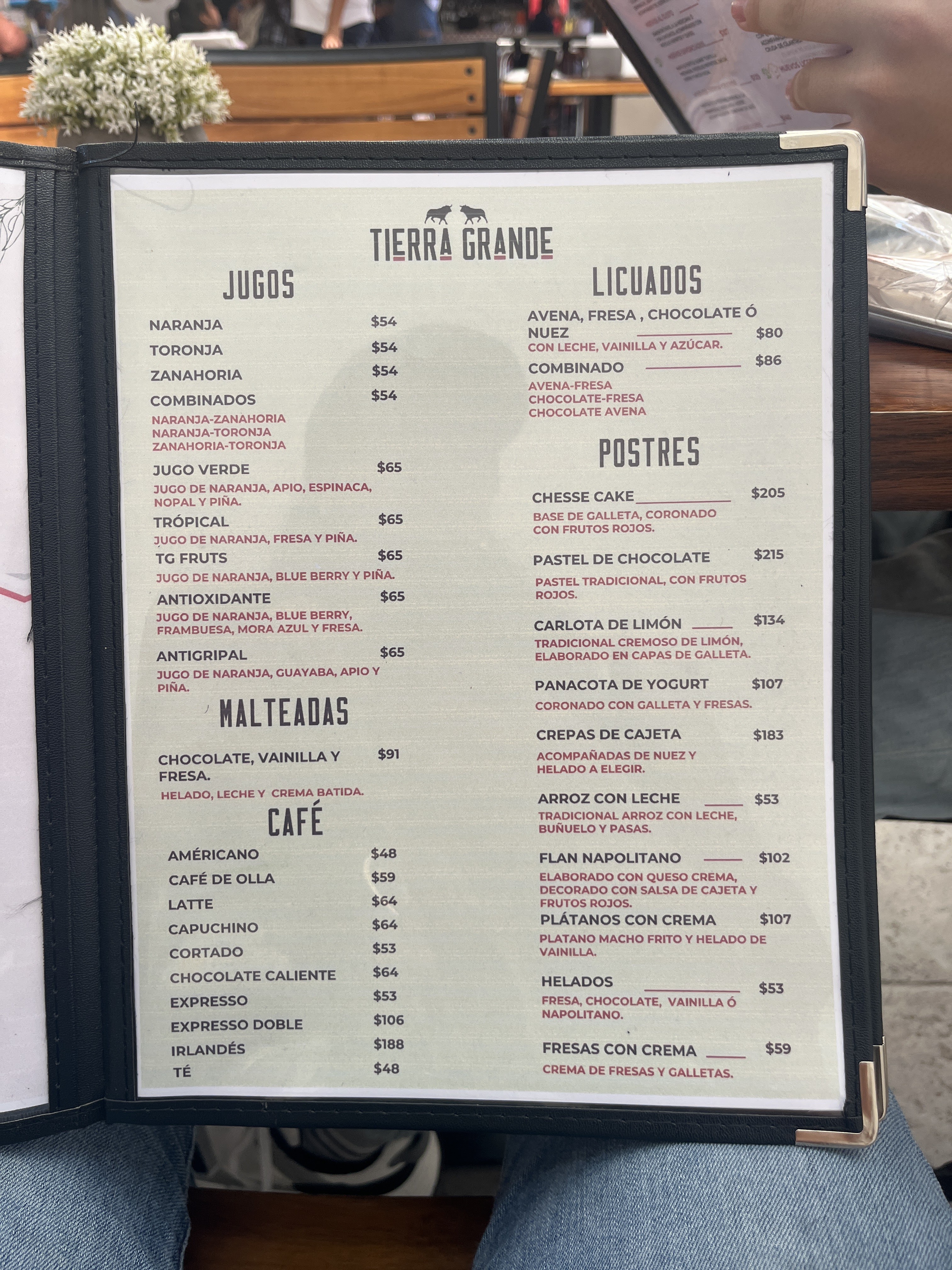 Tierra Grande Restaurante image 10