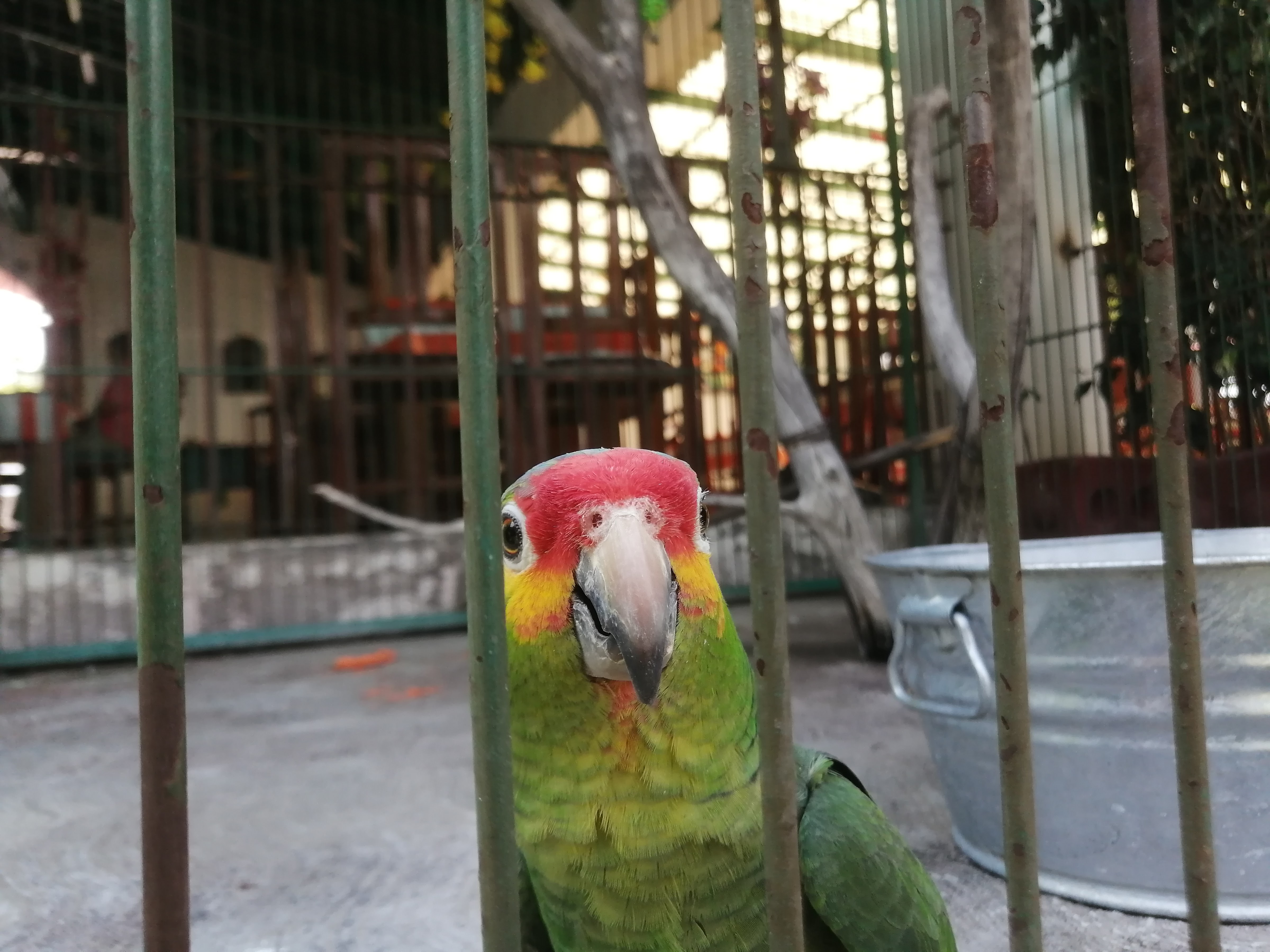 RESTAURANT La Casa del Sol image 4