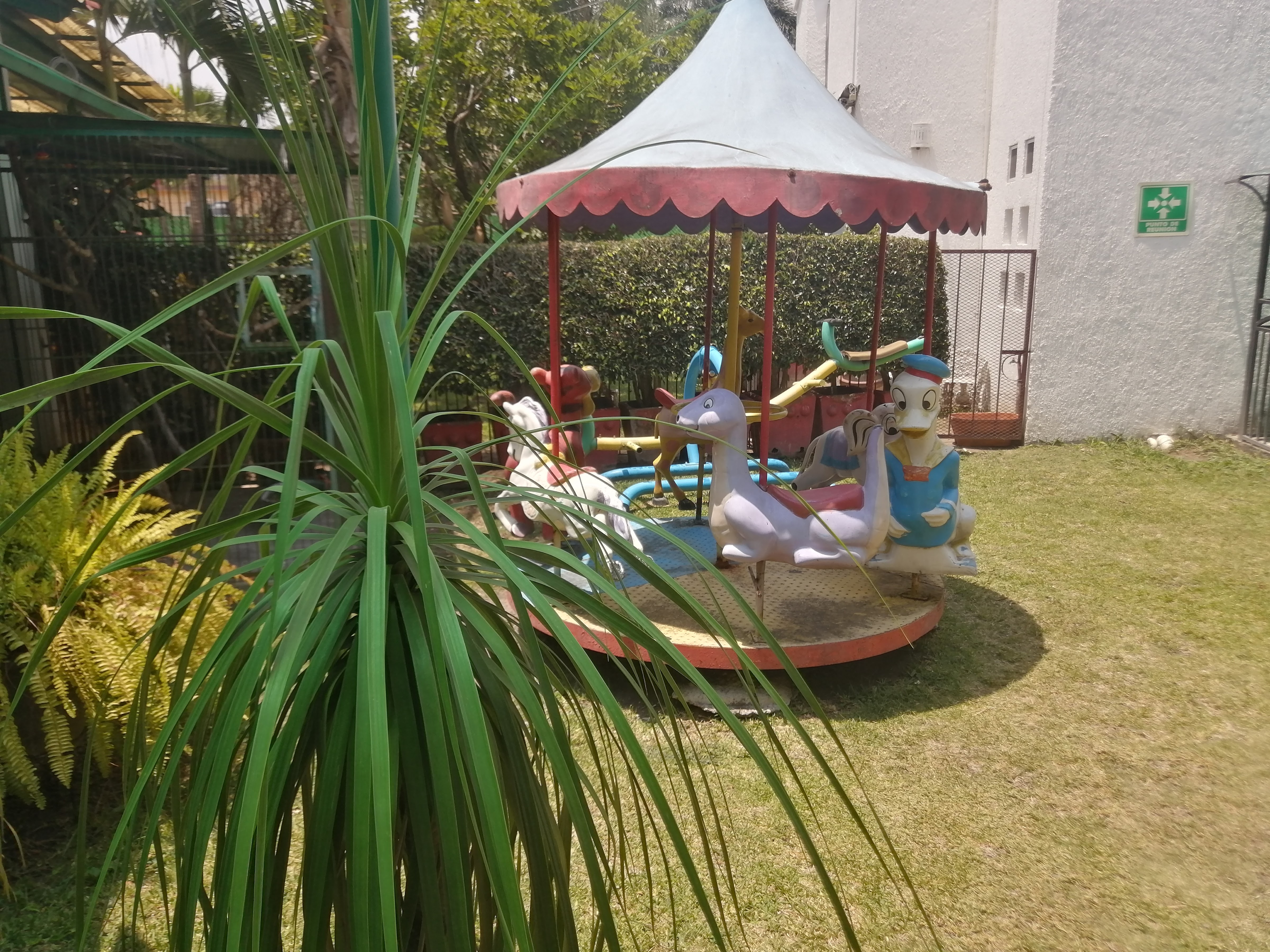 RESTAURANT La Casa del Sol image 5