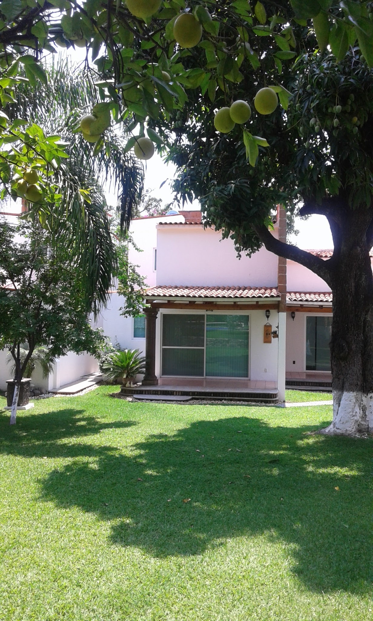 RESTAURANT La Casa del Sol image 9