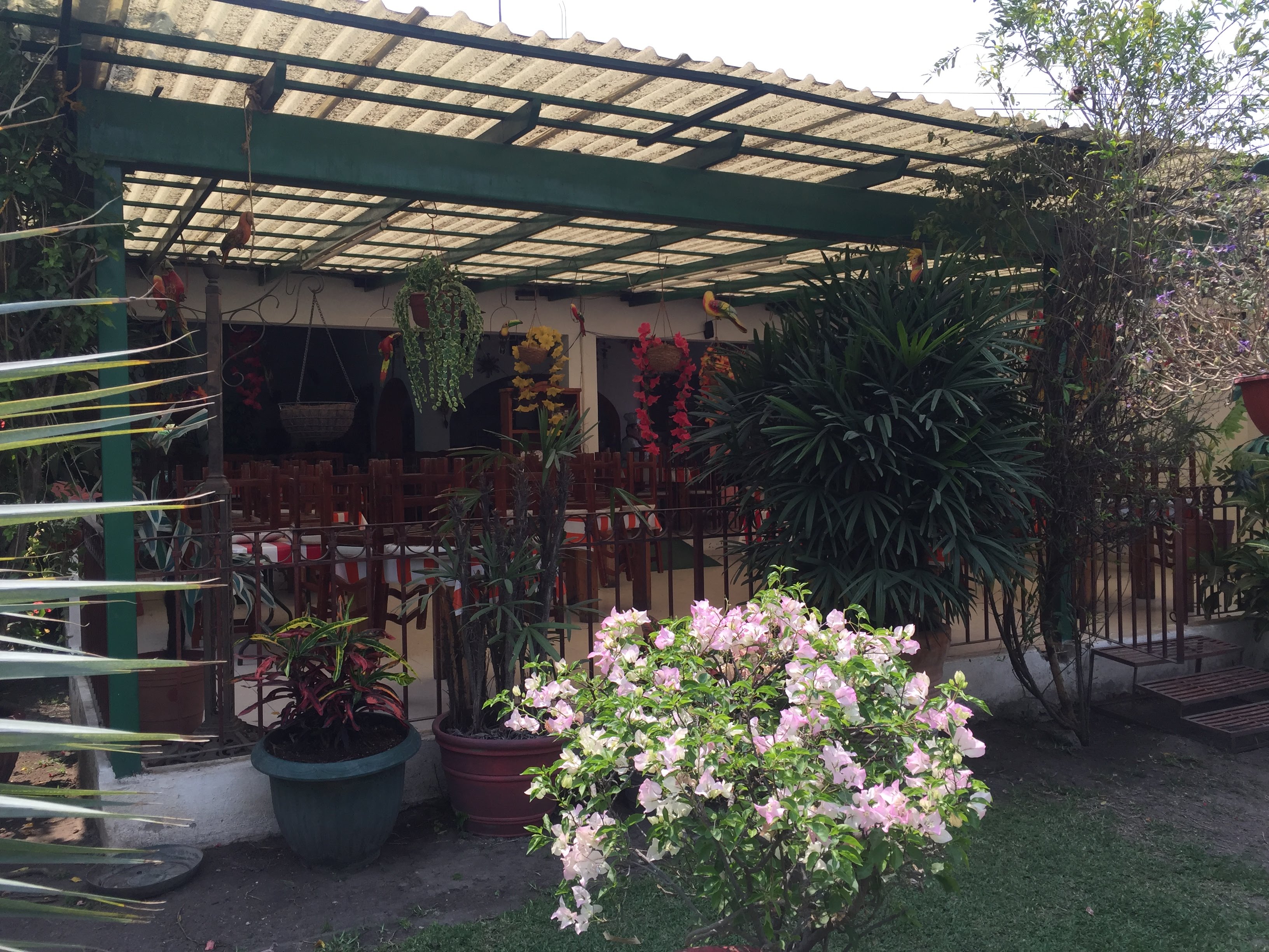 RESTAURANT La Casa del Sol image 10