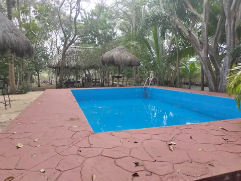 Tío Charlie image 6