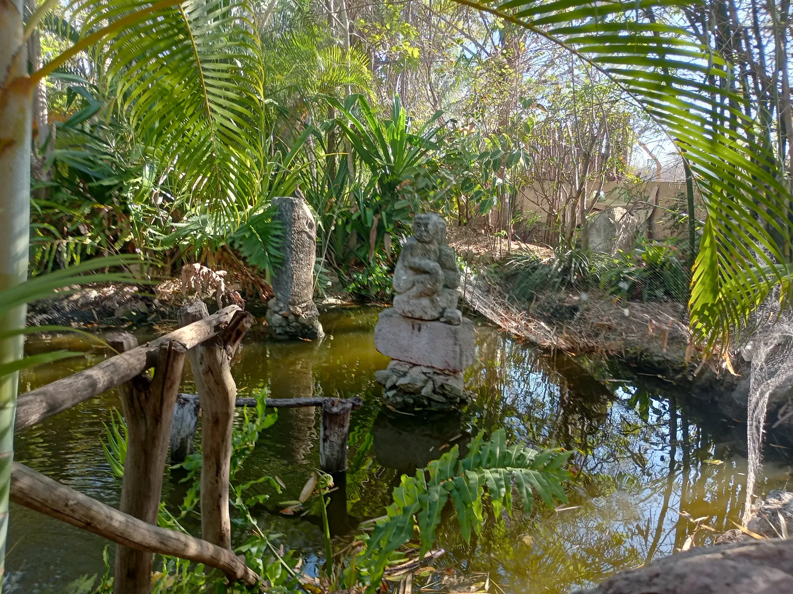 Tío Charlie image 9