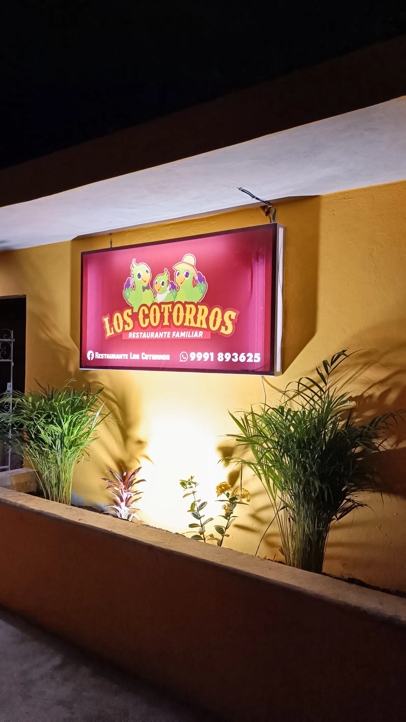 Restaurante Los Cotorros image 1