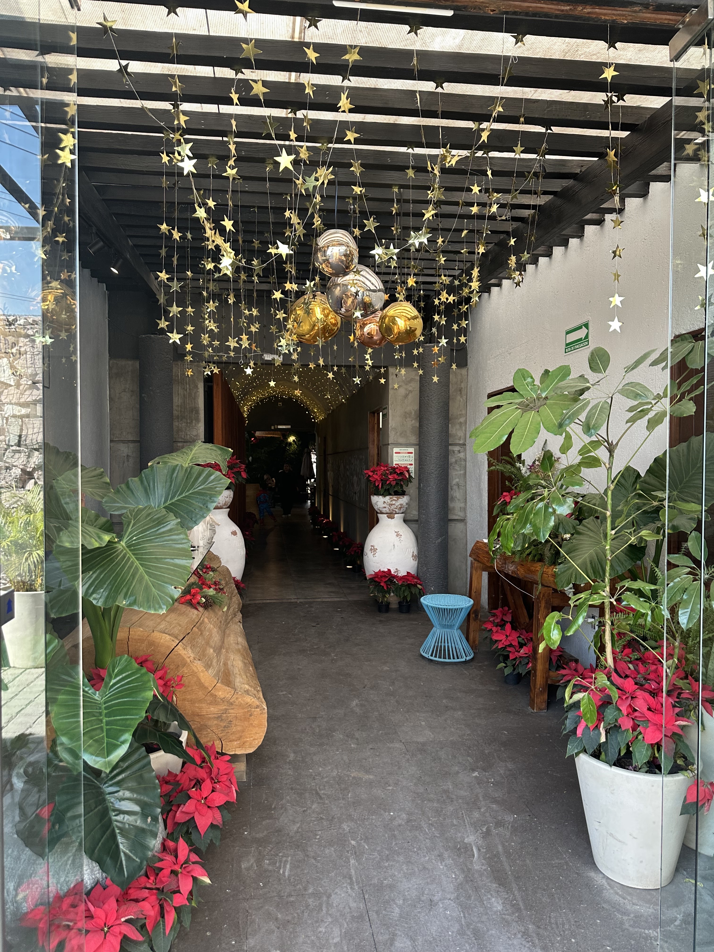 Los Arbolitos Juriquilla image 6