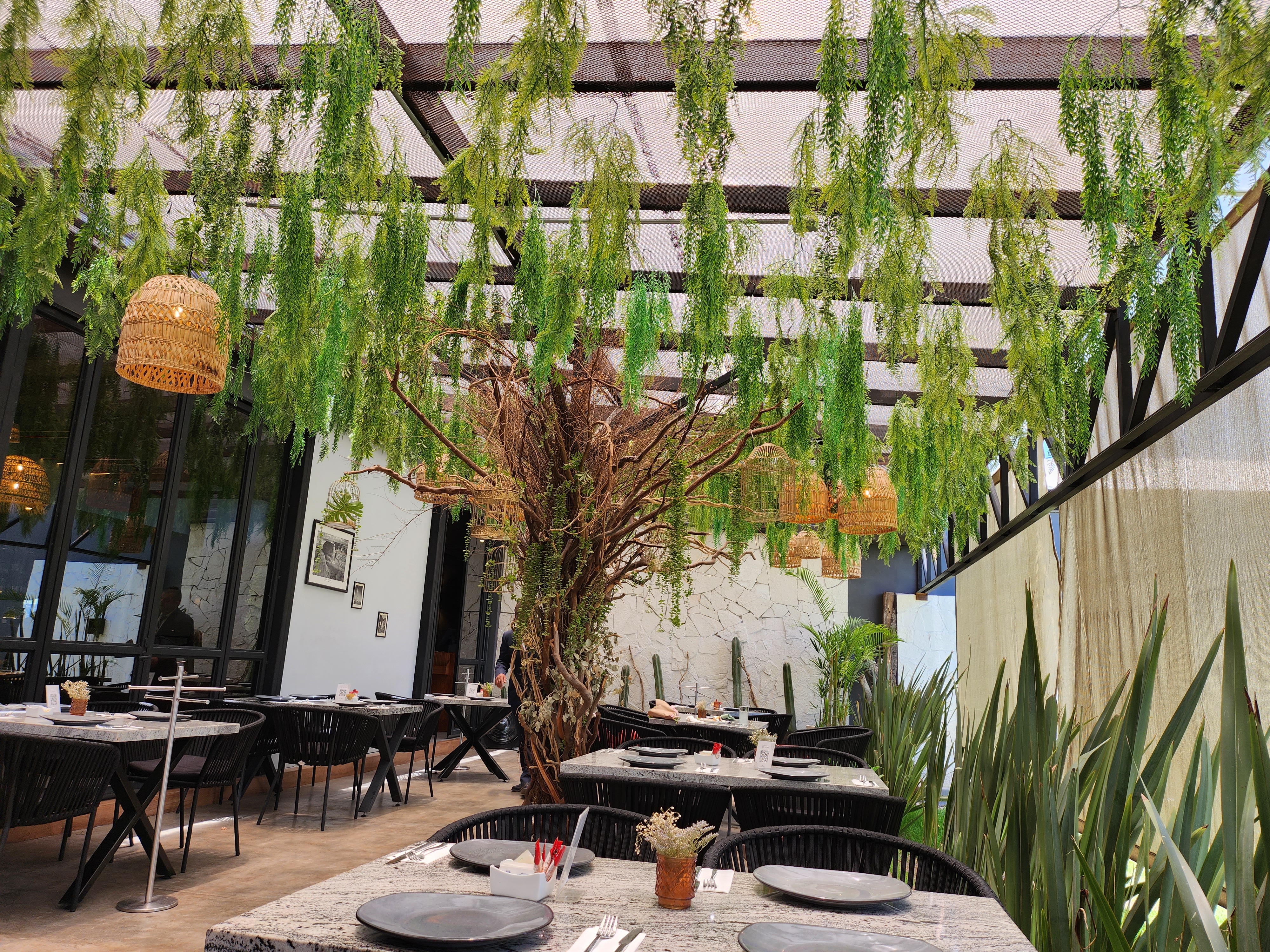 Los Arbolitos Juriquilla image 10