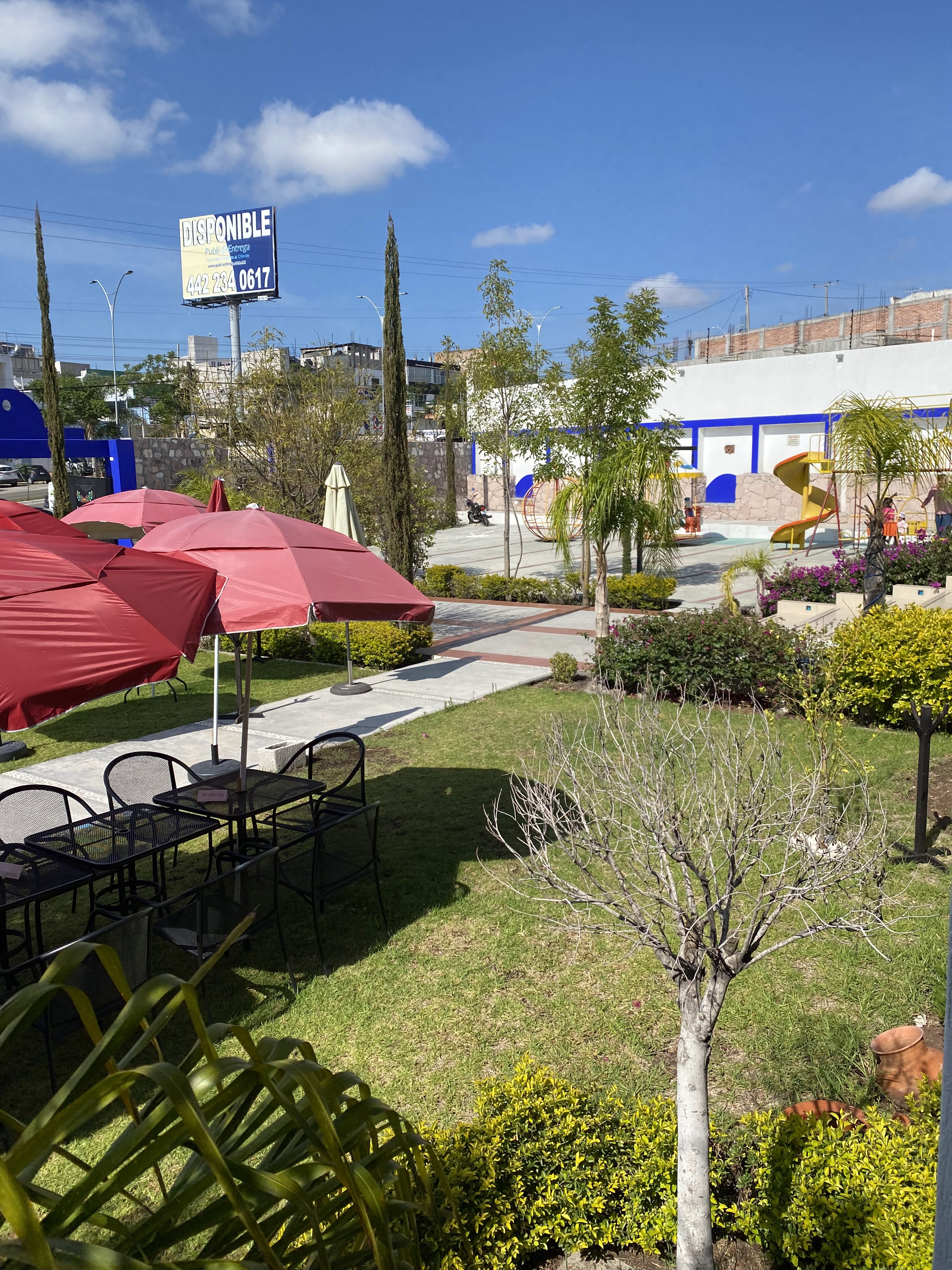 El Mezquite Tradicional Juriquilla image 10