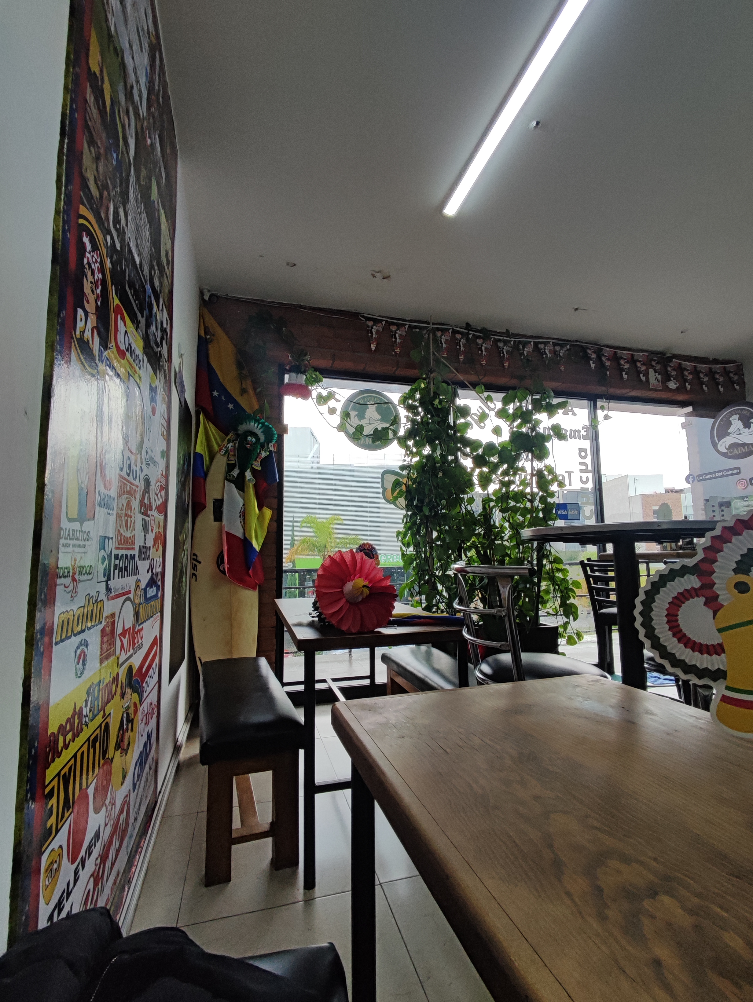 La cueva del caimán image 4