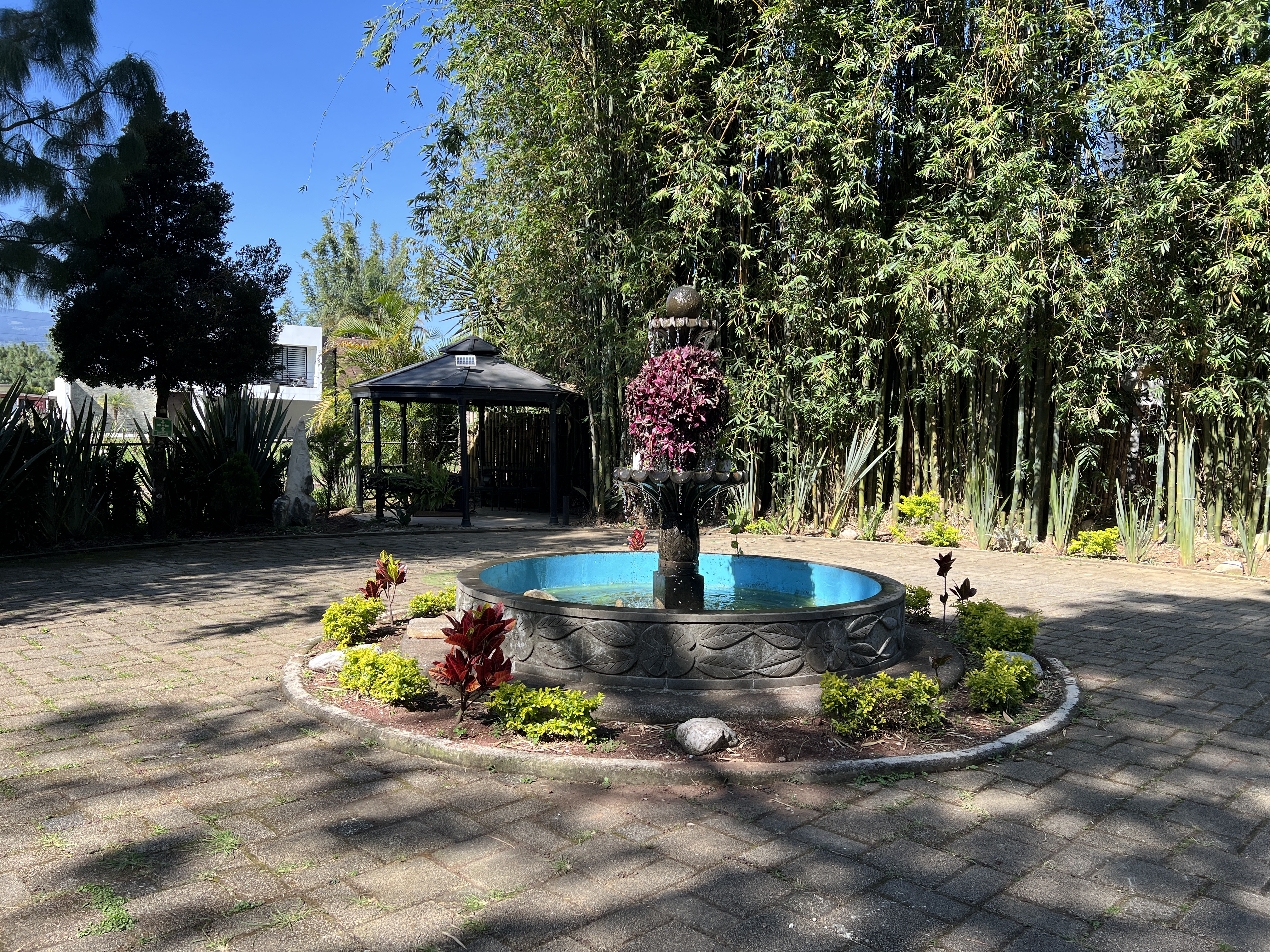 La Estancia de los Tecajetes Suc. Banderilla image 8