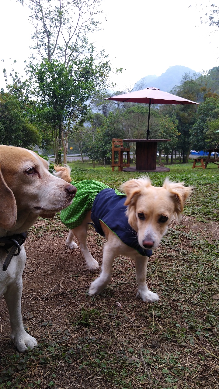 La cabaña "Asadero" image 8