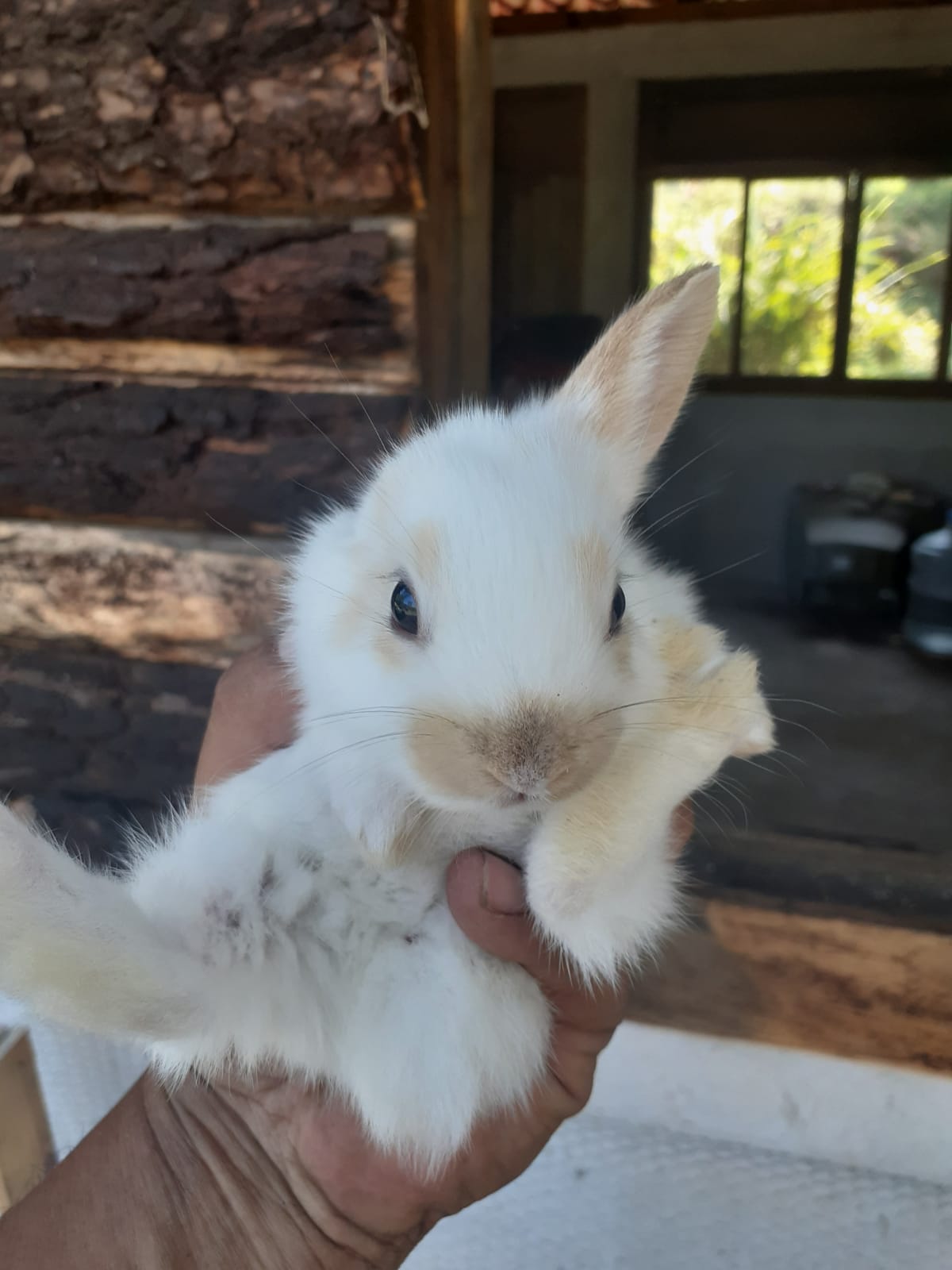 La cabaña "Asadero" image 10