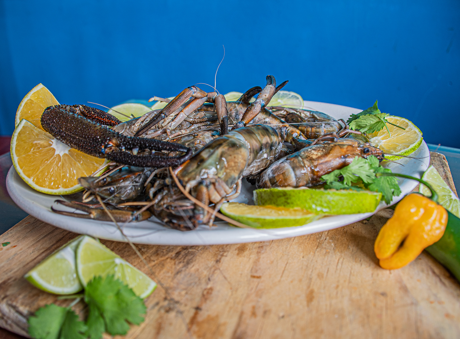 Mariscos Uscanga Xalapa image 2