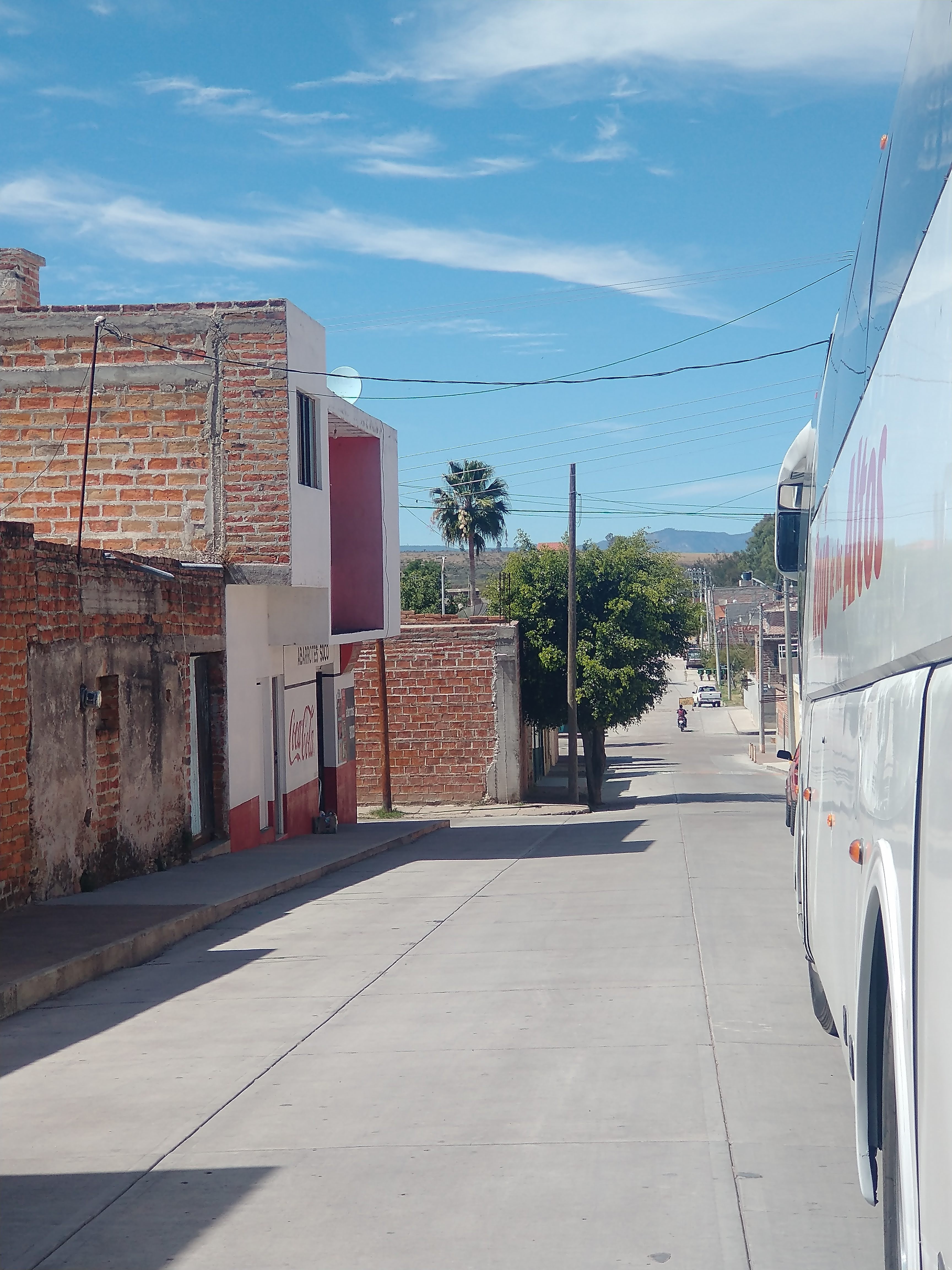 Gorditas y burritos la terminal image 1