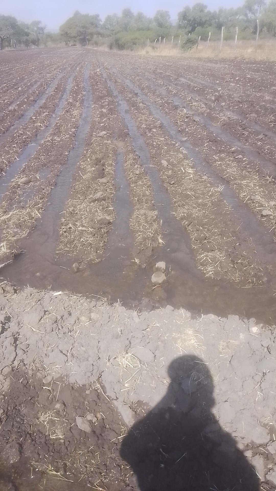 Aguachiles y Micheladas "La Cabaña" image 2