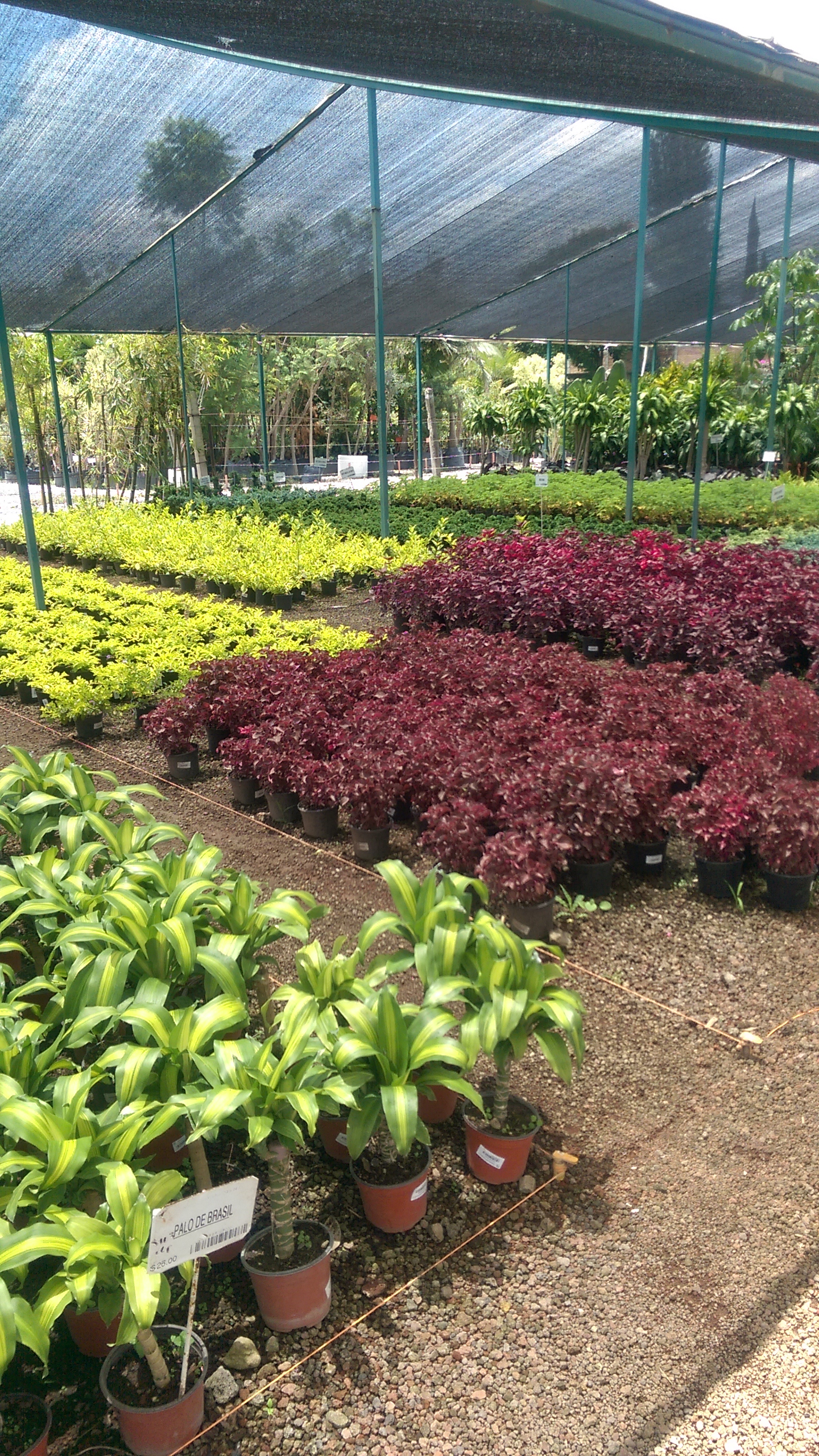 Ruta 160 Micheladas Y Alitas image 4