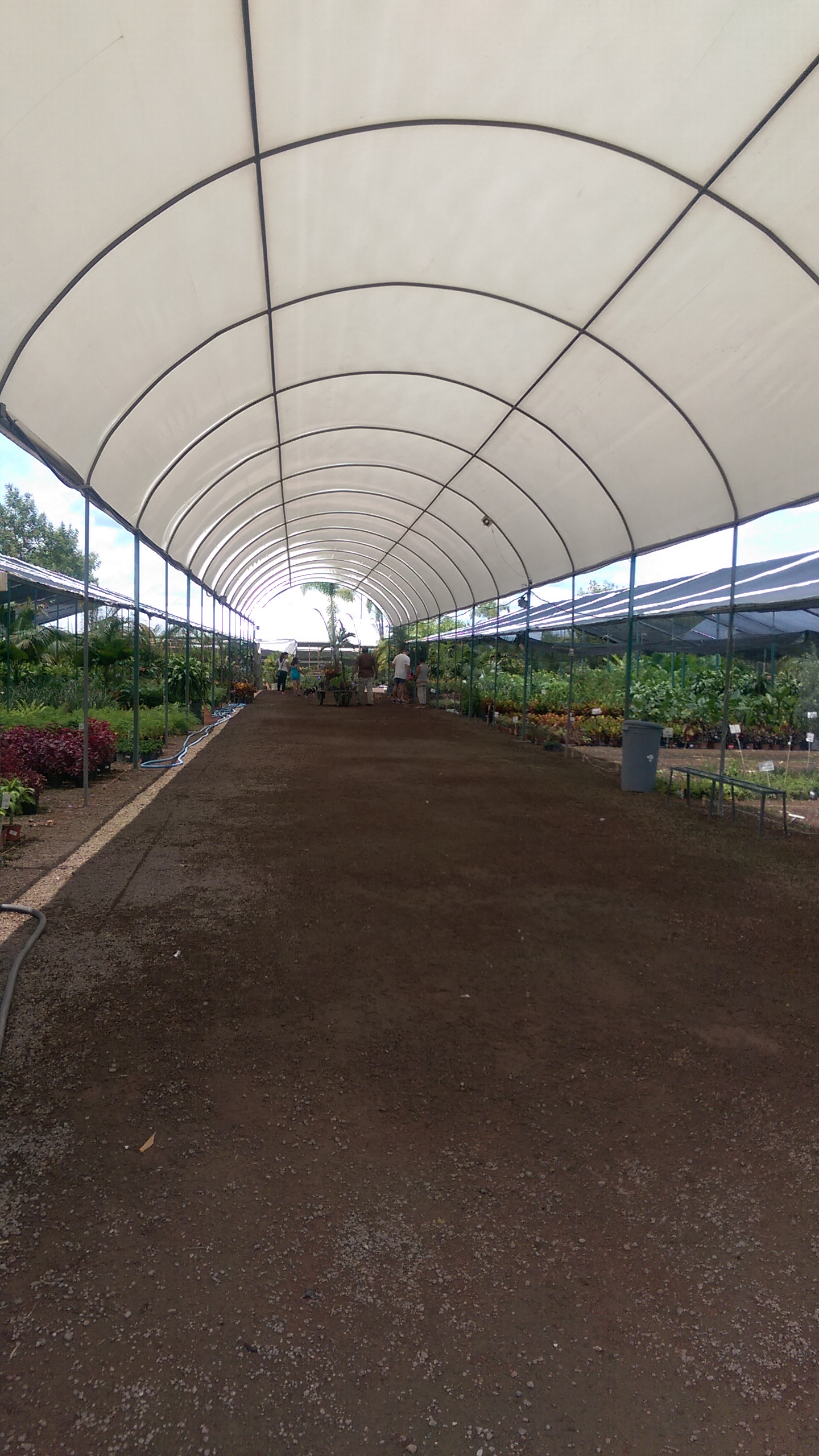 Ruta 160 Micheladas Y Alitas image 8