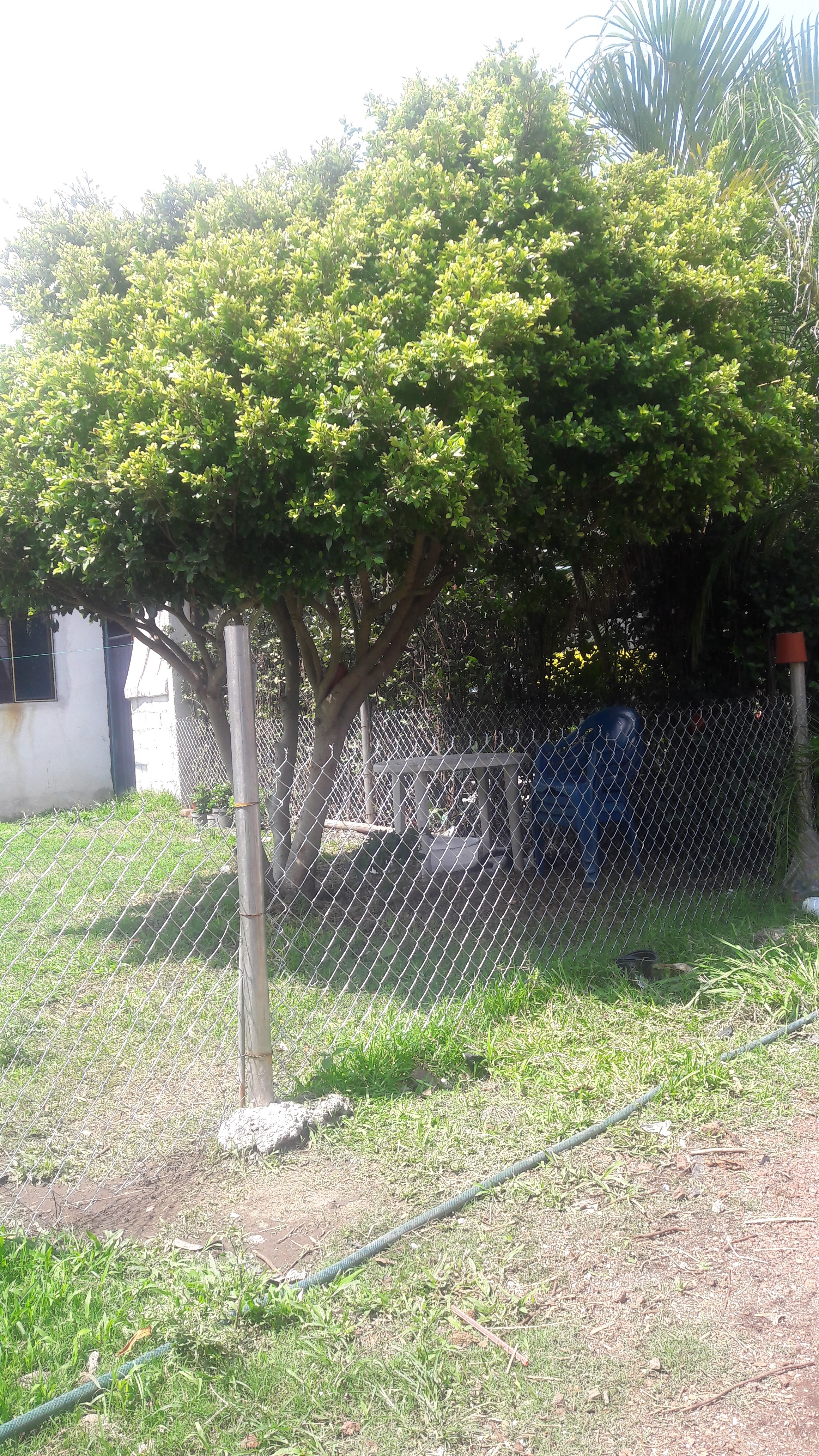 Ruta 160 Micheladas Y Alitas image 9