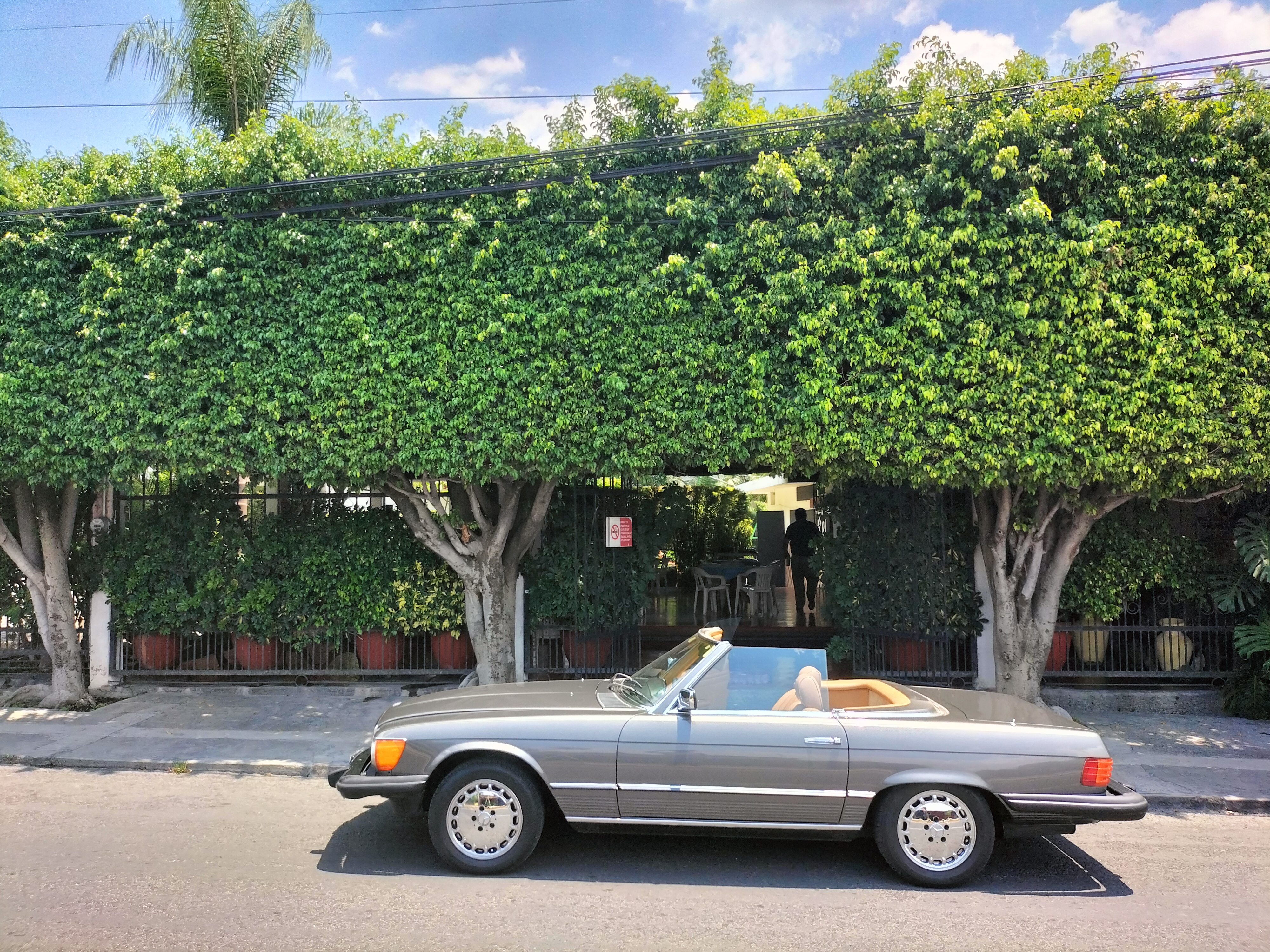 Palapa Cocoyoc image 6