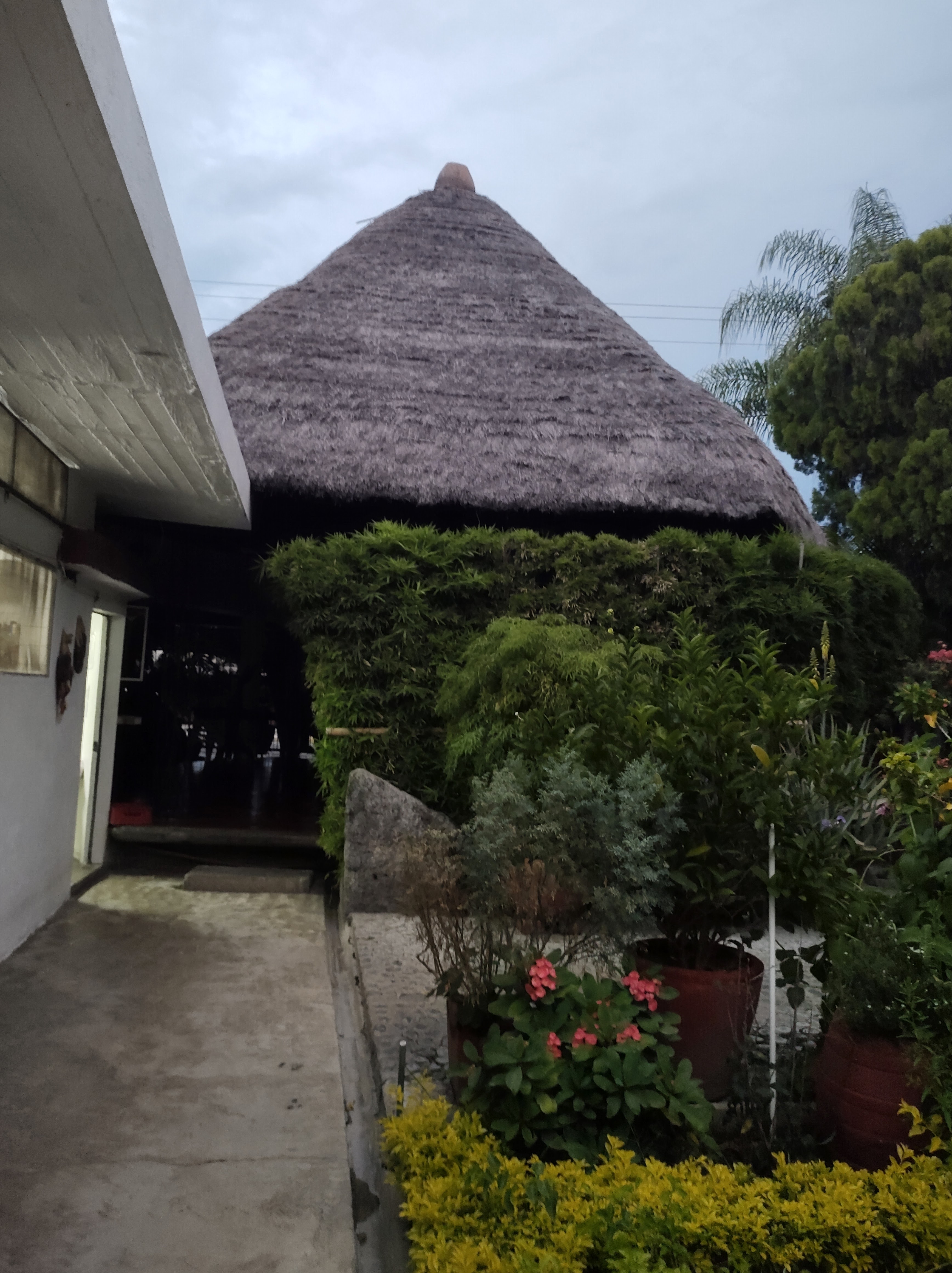 Palapa Cocoyoc image 8