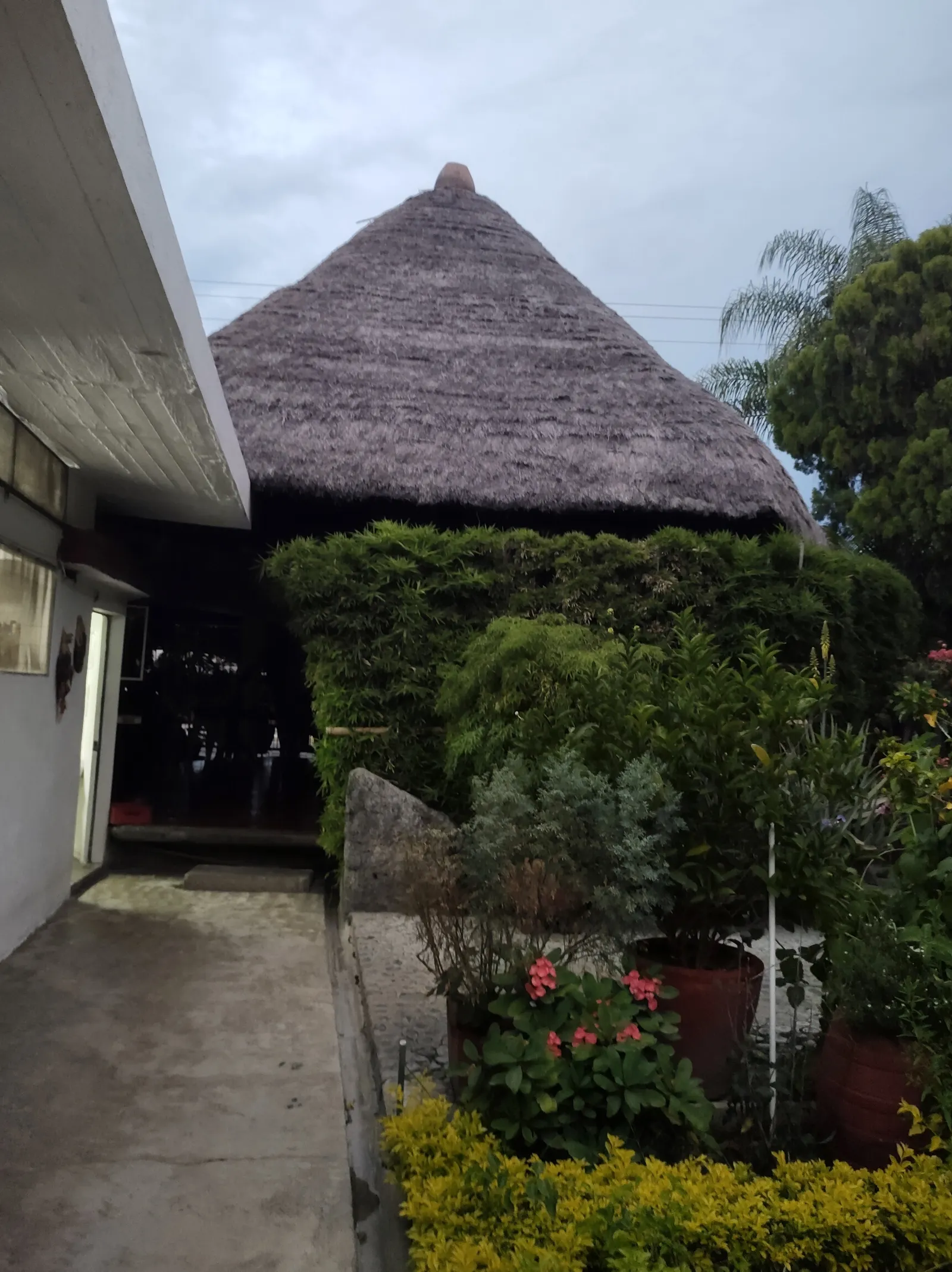 Palapa Cocoyoc image 8