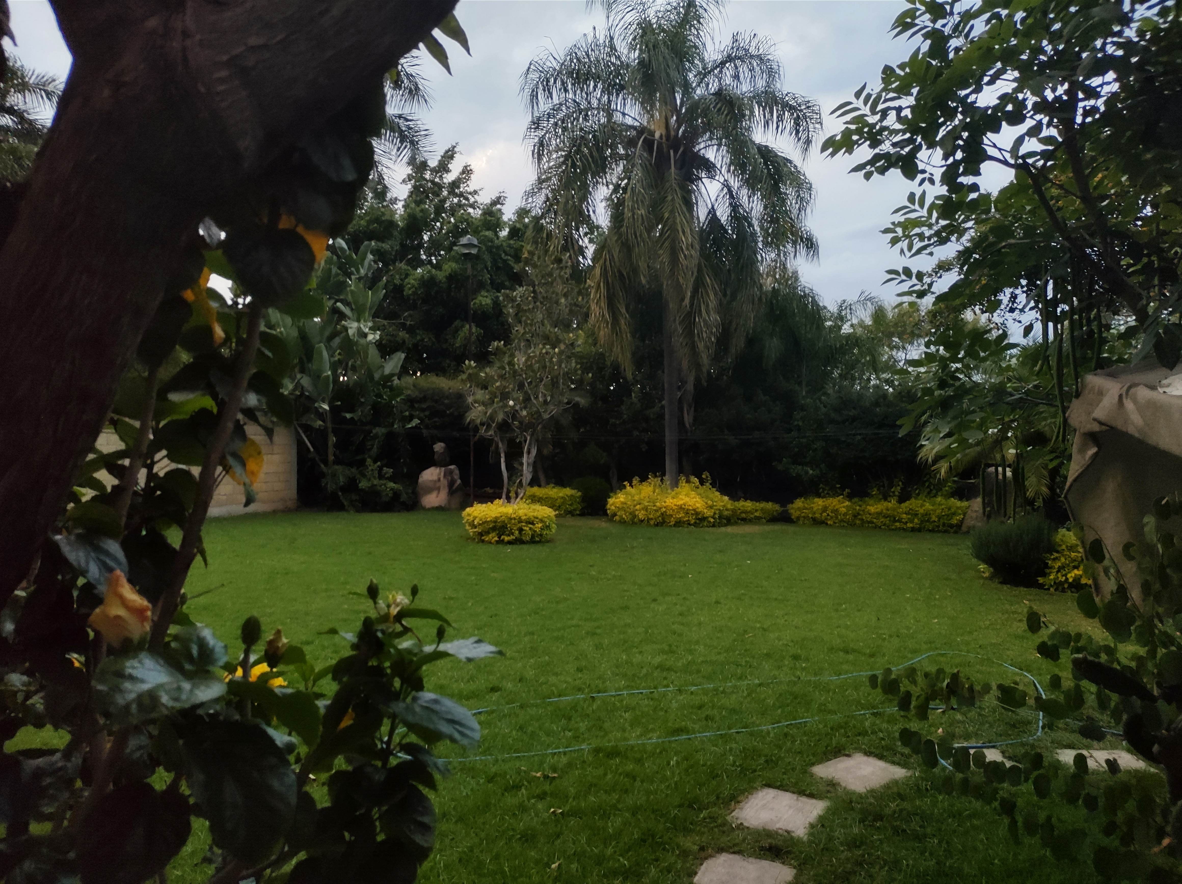 Palapa Cocoyoc image 9