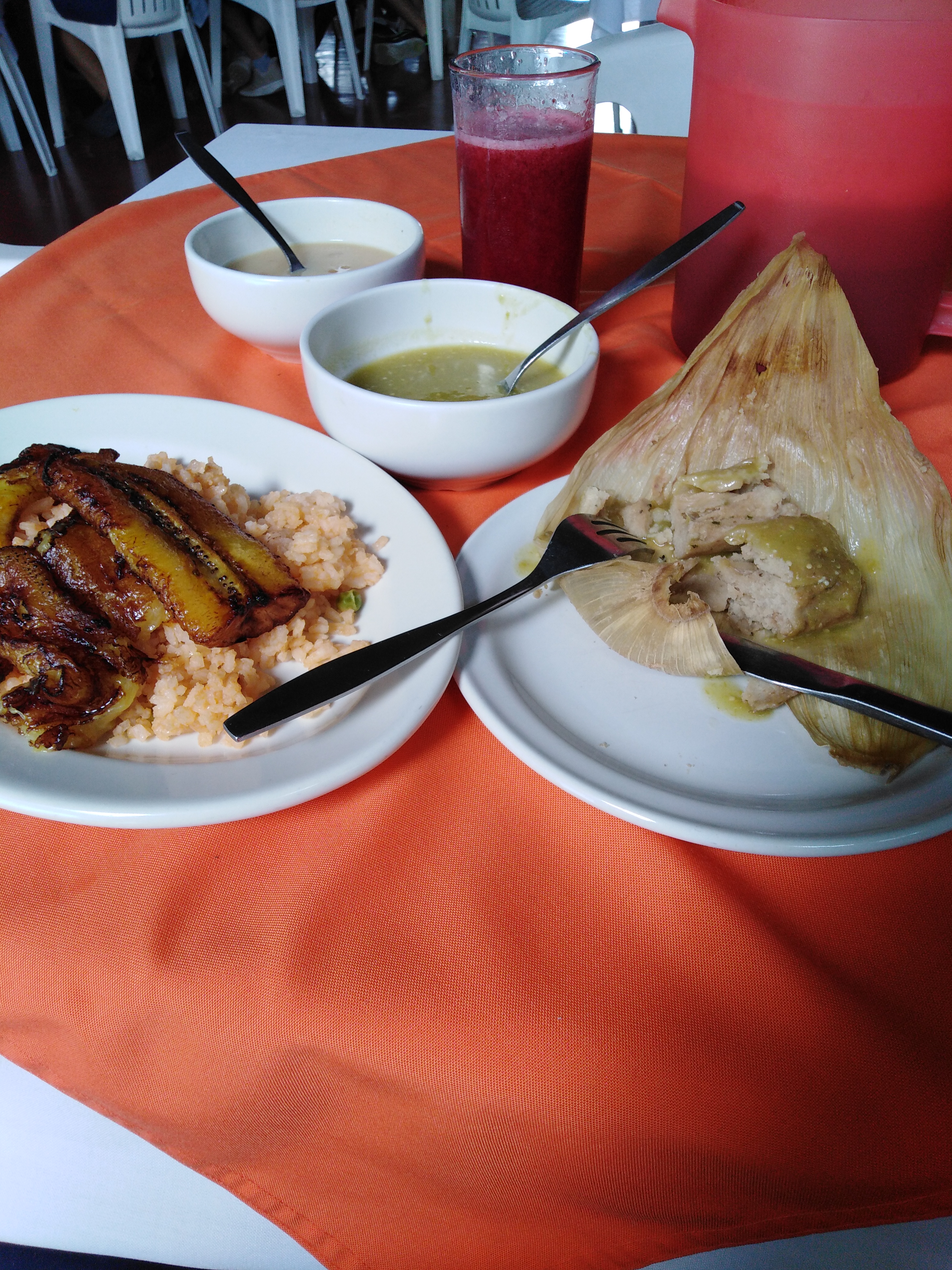 Palapa Cocoyoc image 10