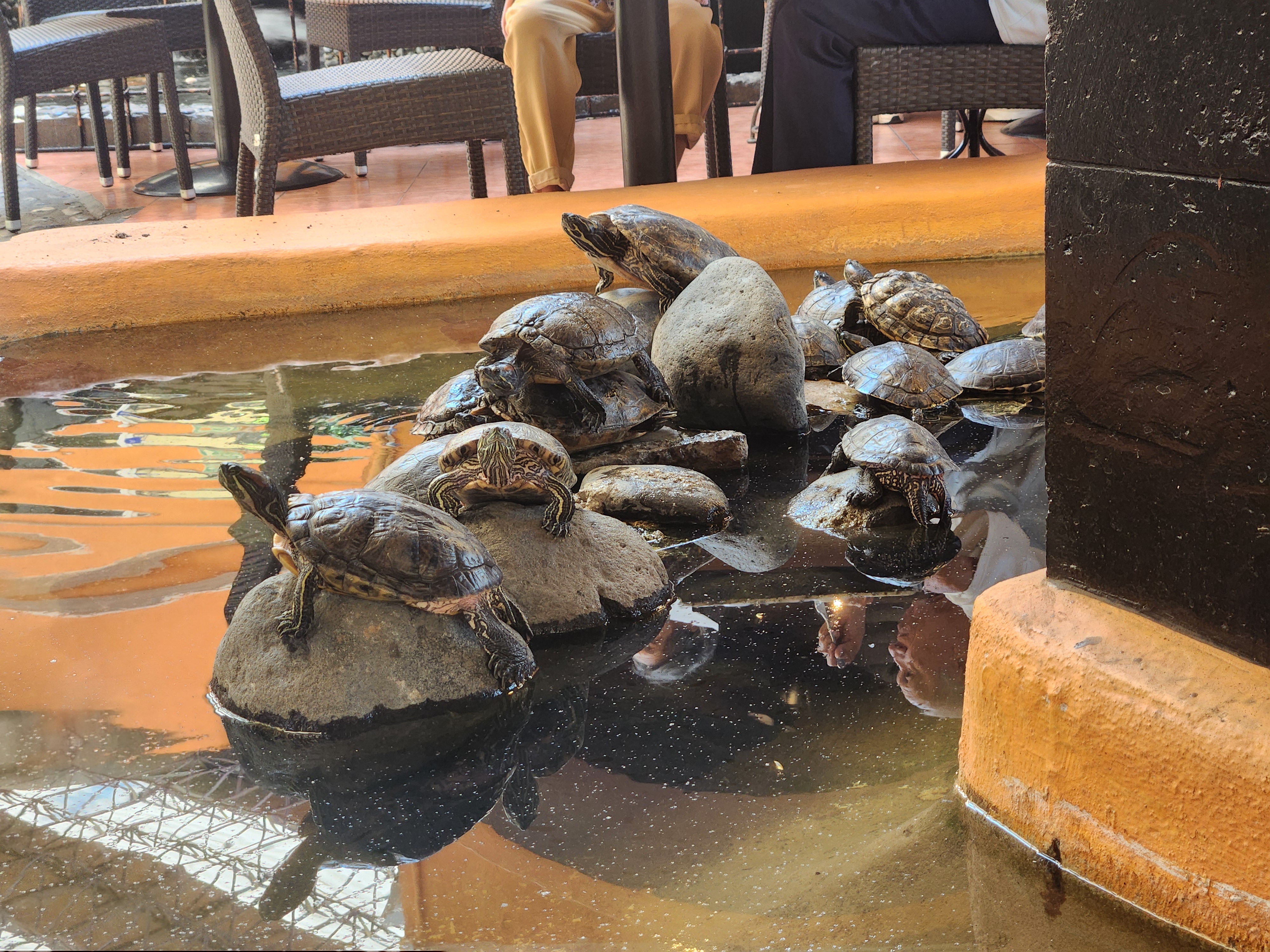 Misión Cotija image 9