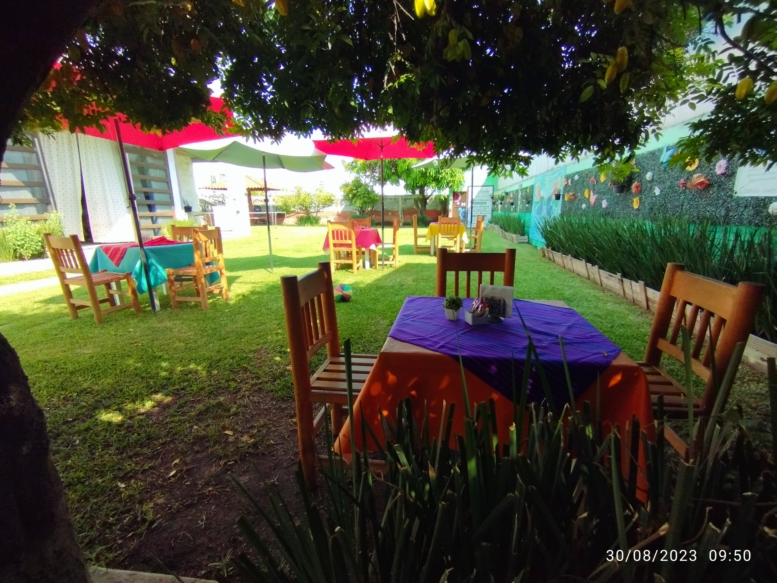 Desayunos La Gloria image 4