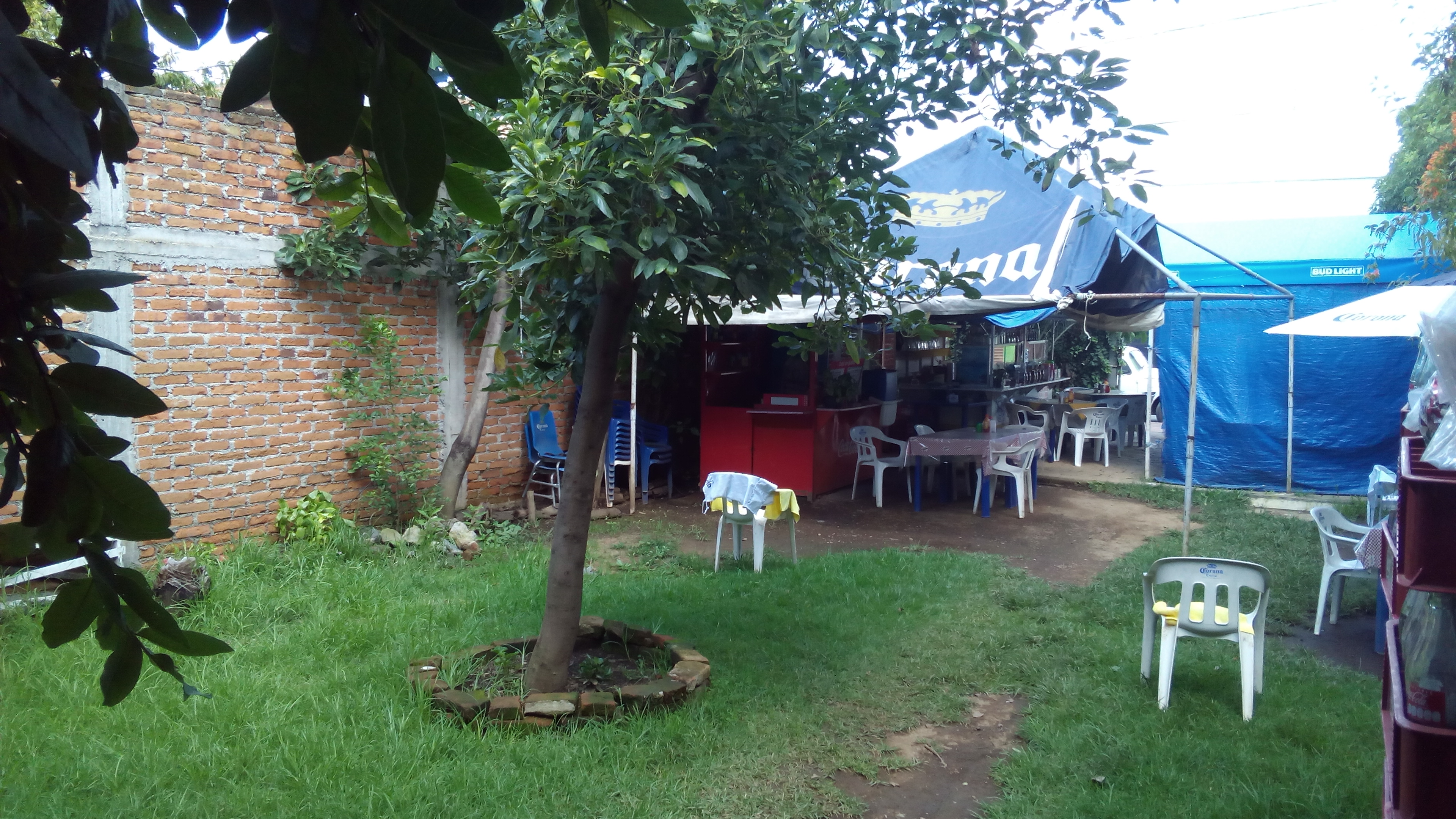 Mariscos Bahia Kino's image 9