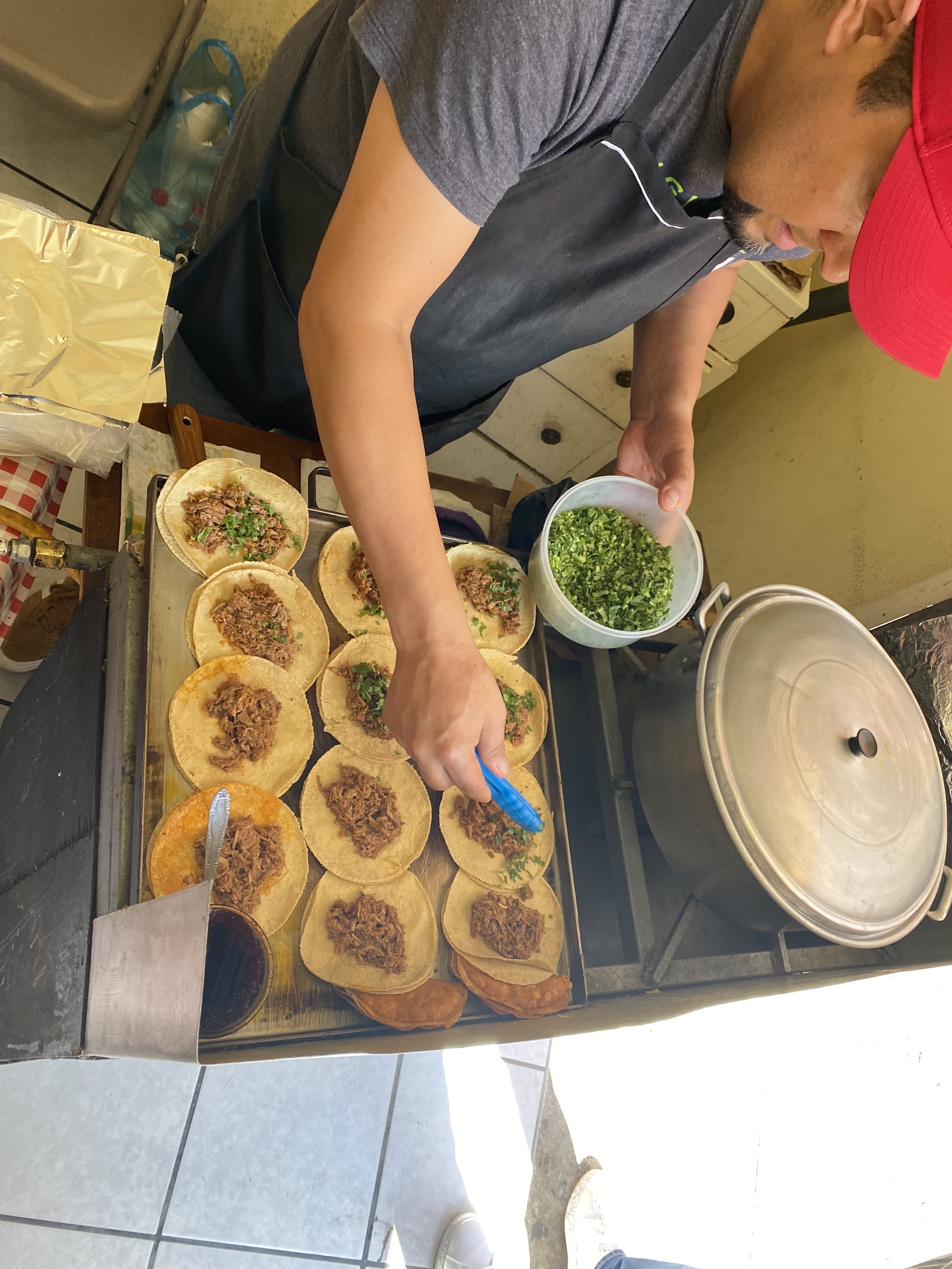 Tibis taco’s image 2