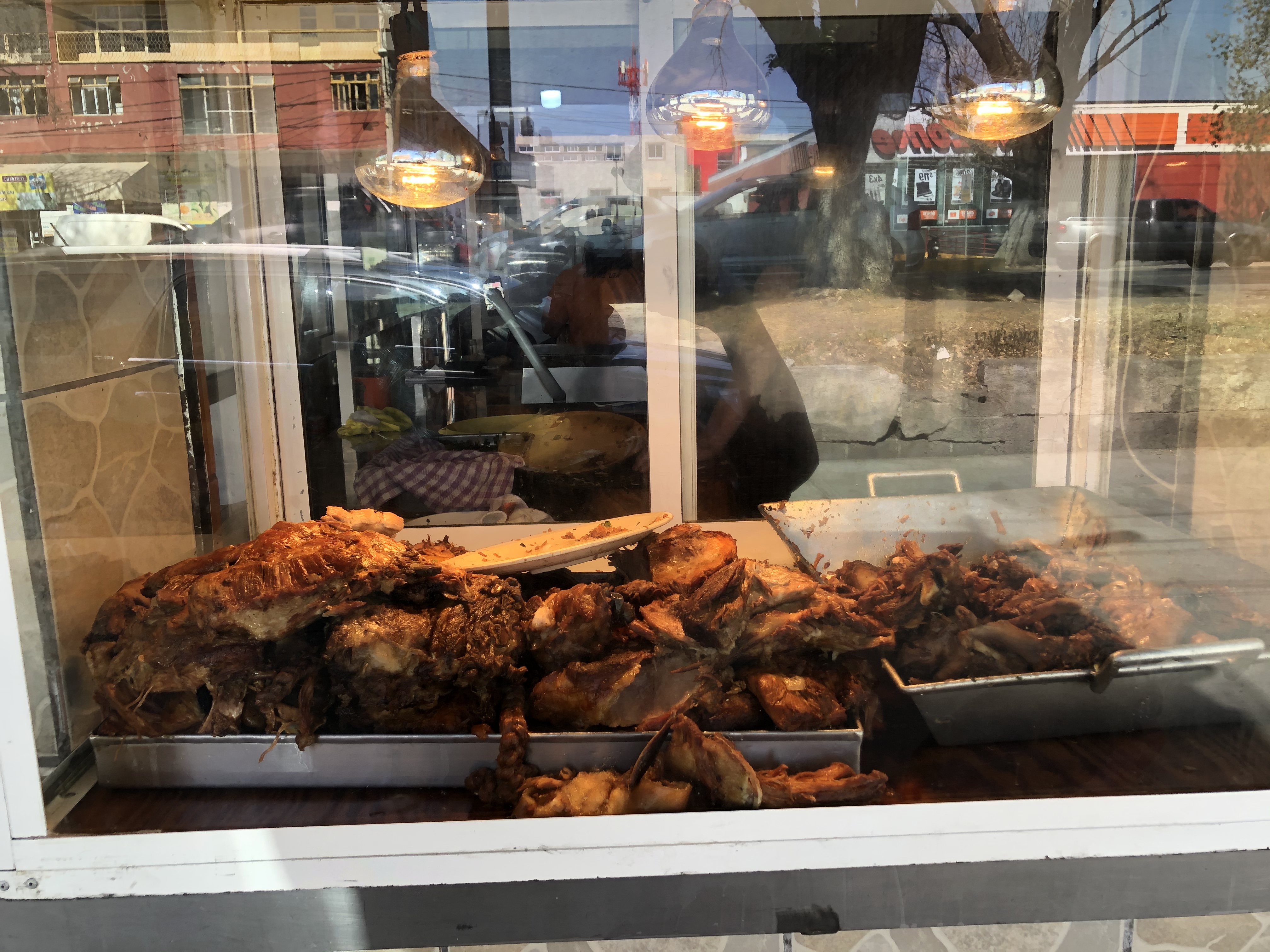 CARNITAS LIRA. image 6