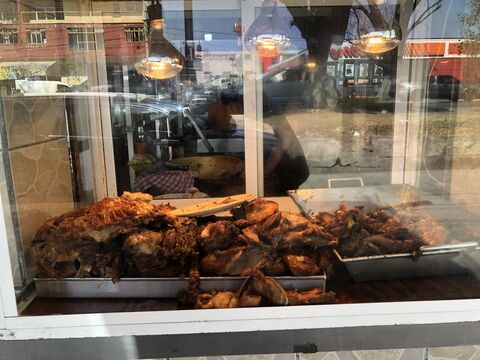 CARNITAS LIRA. image 6