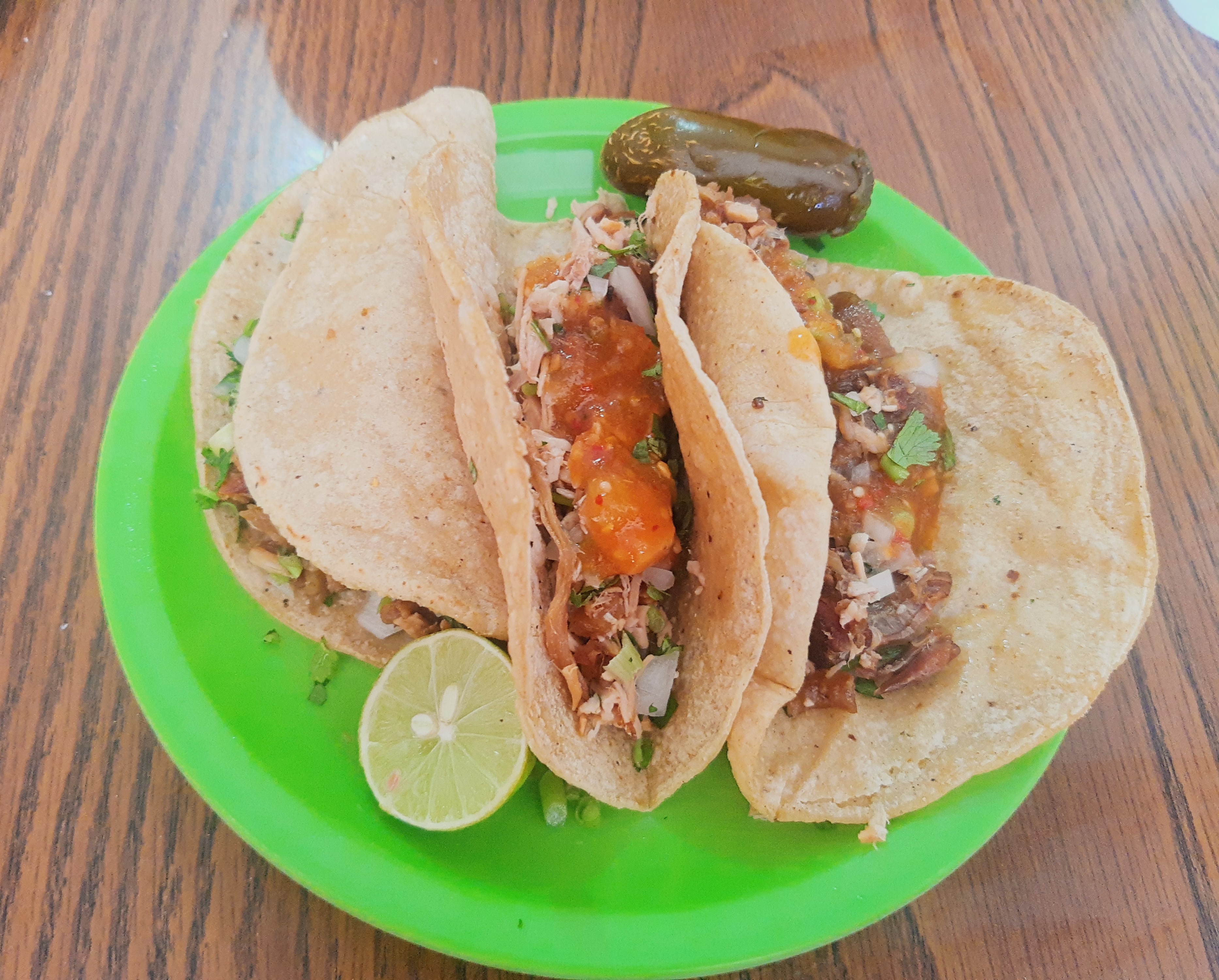 CARNITAS LIRA. image 7