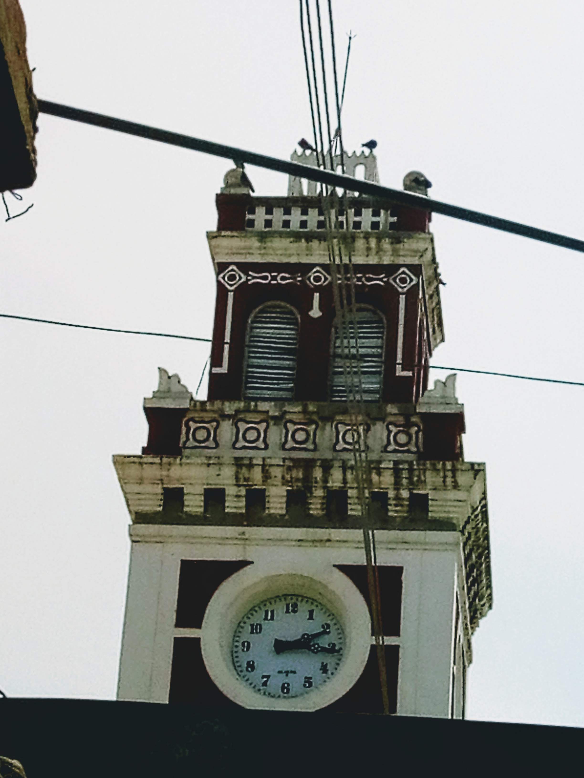 Comedor El Jardín image 7