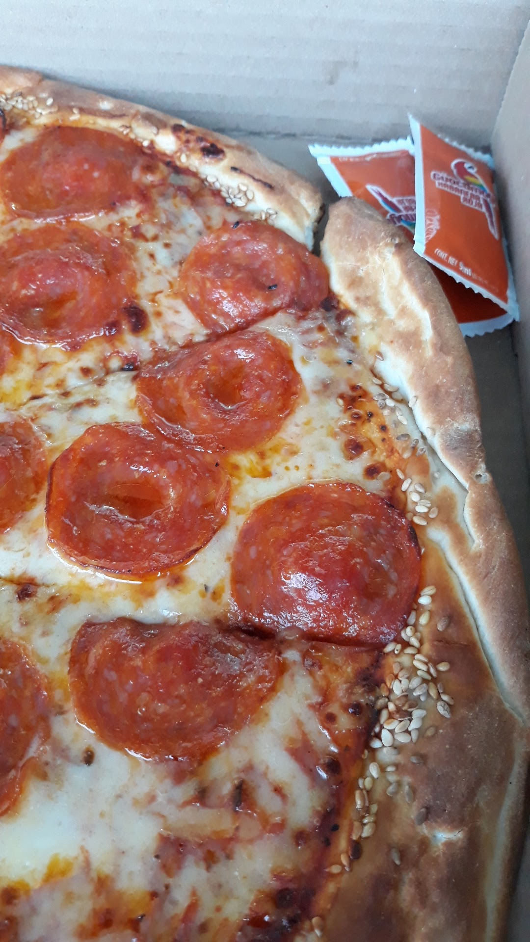 QUESI PIZZAS image 1