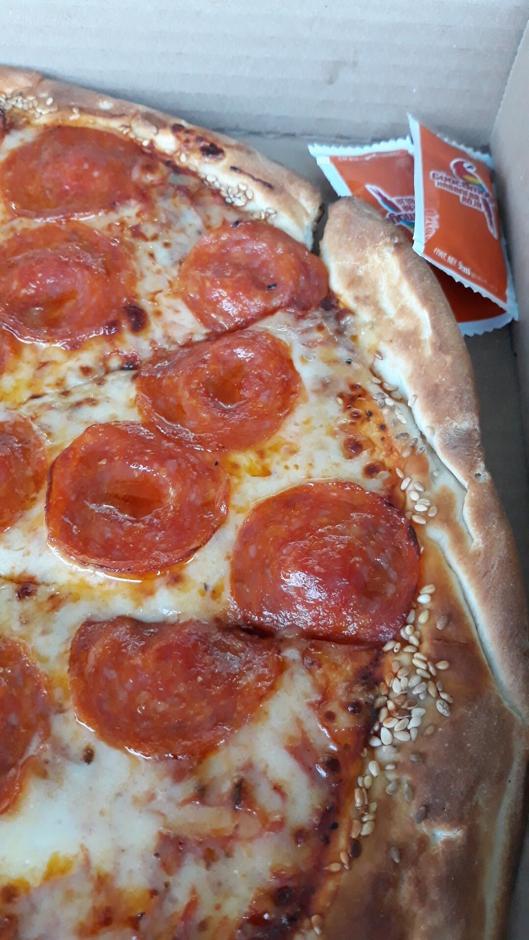 QUESI PIZZAS image 1
