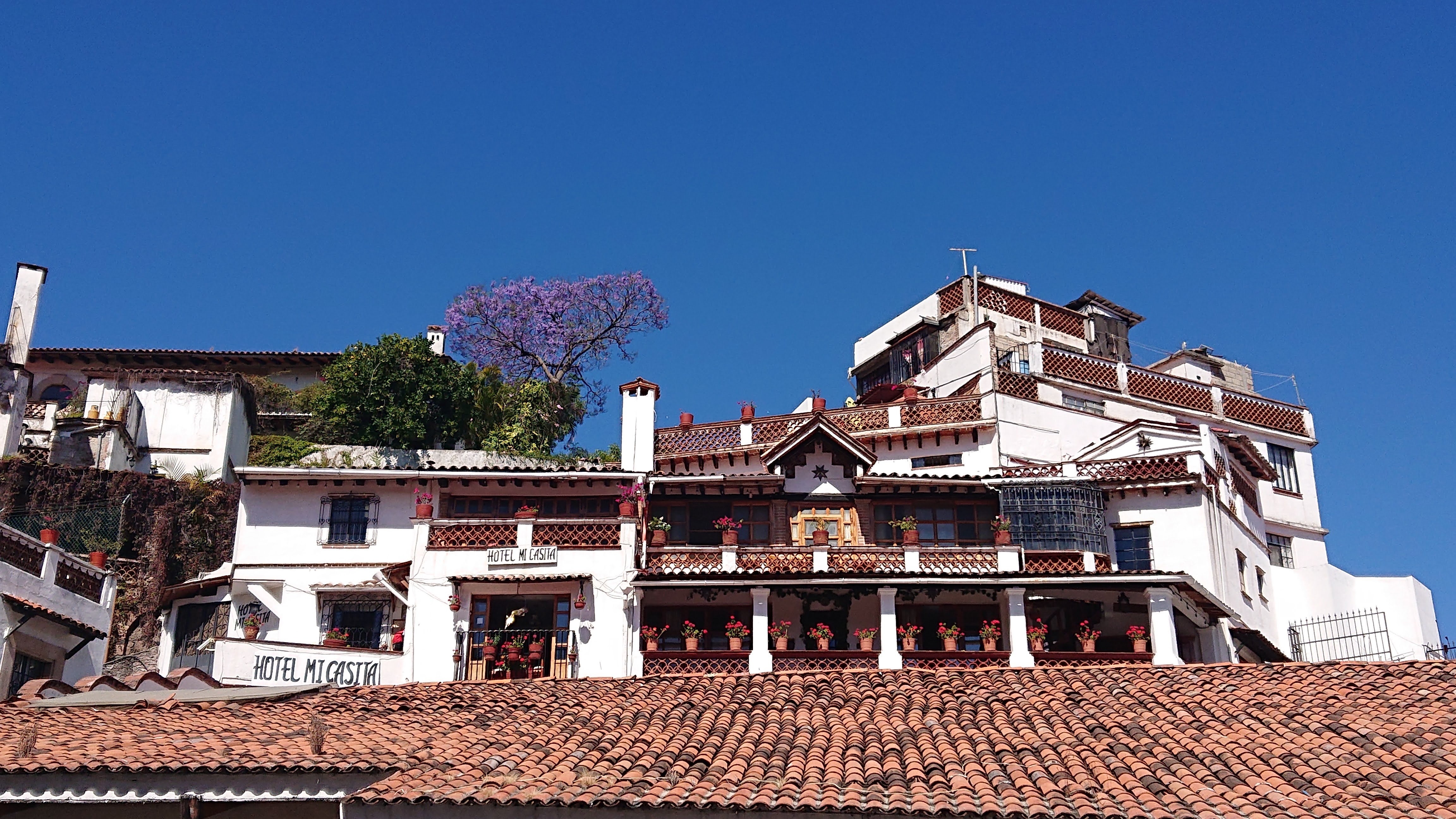 Restaurant Cafetería del Convento image 5